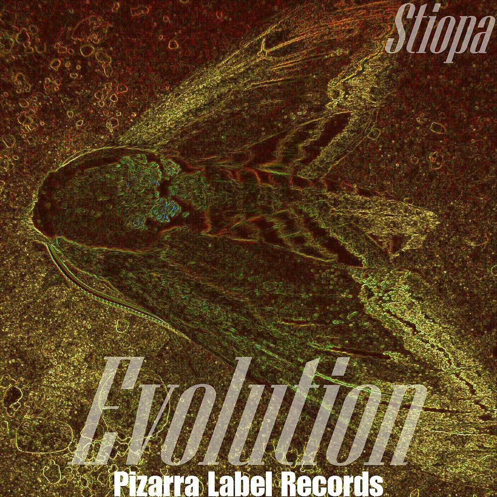 Релиз Evolution
