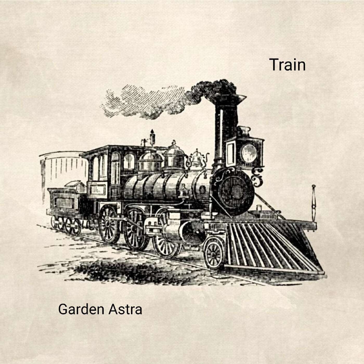 Релиз Train