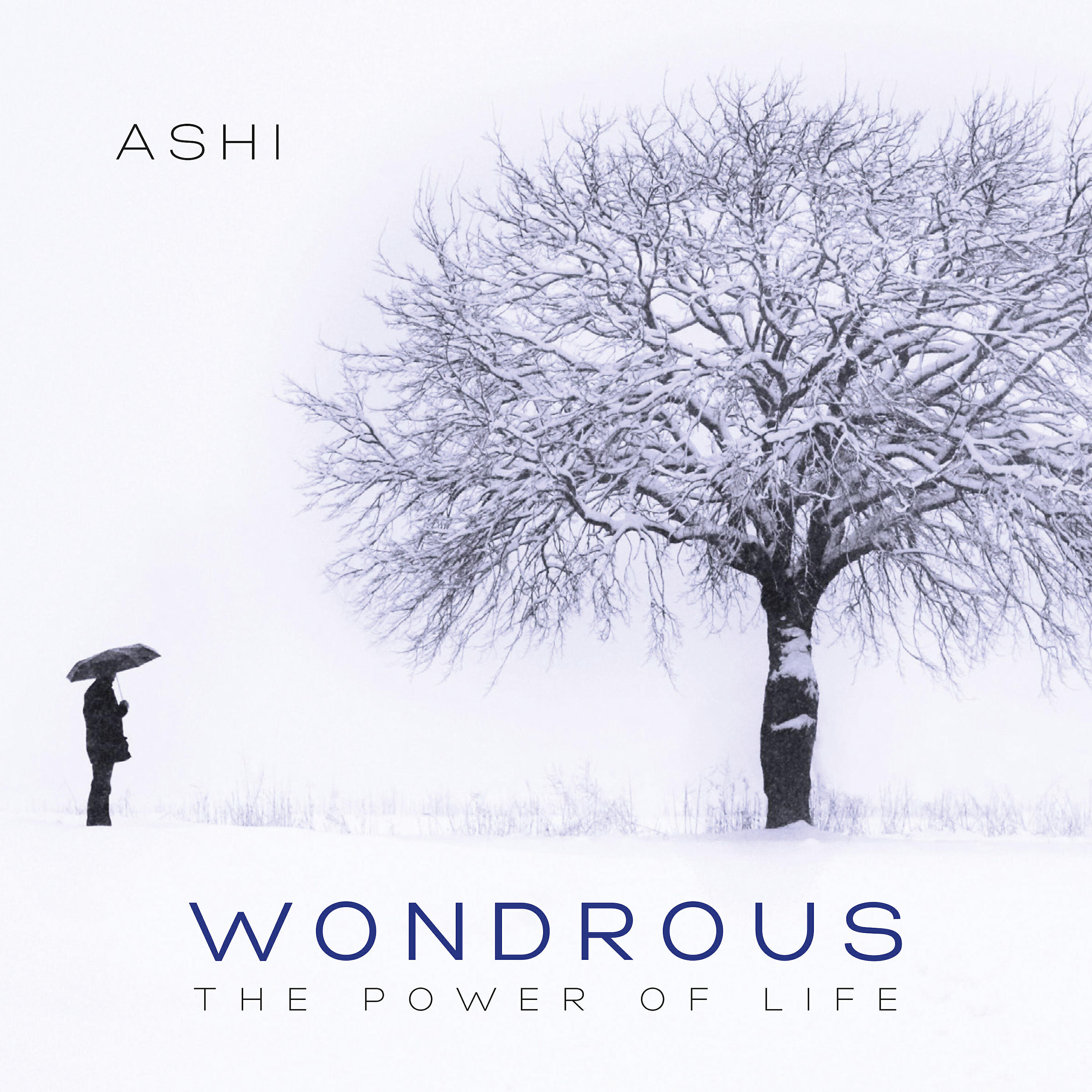Релиз Wondrous