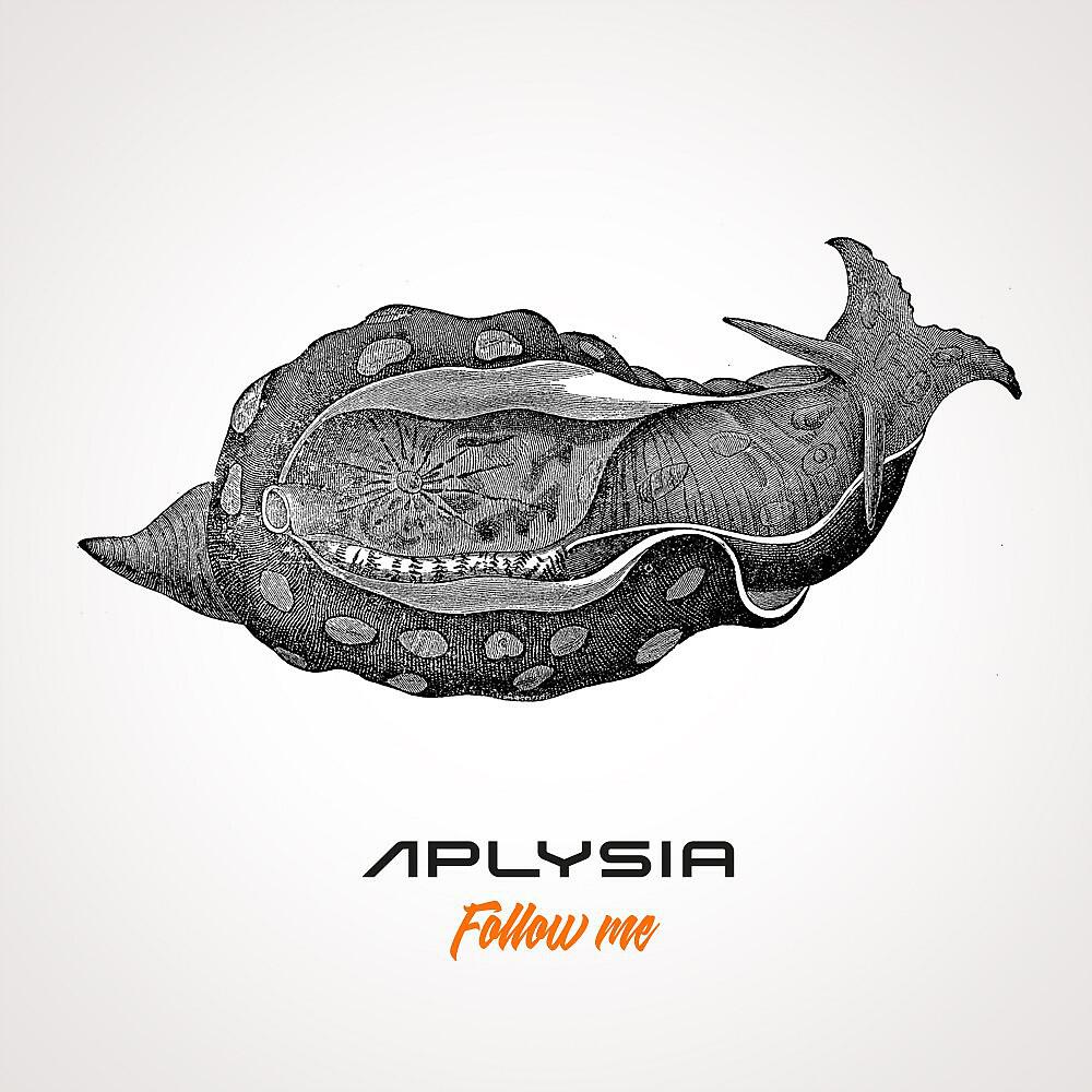 Релиз Follow Me