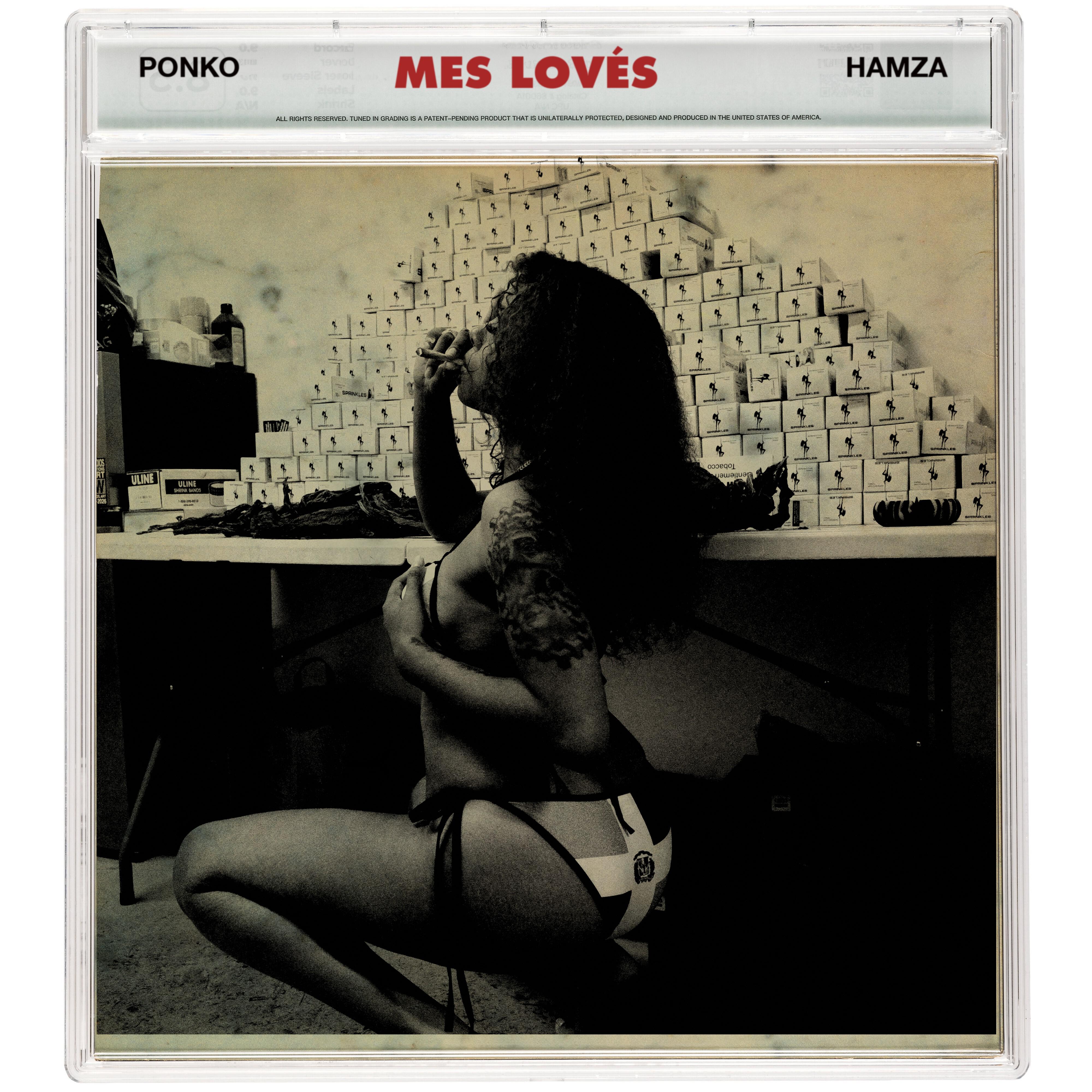 Постер альбома Mes Lovés