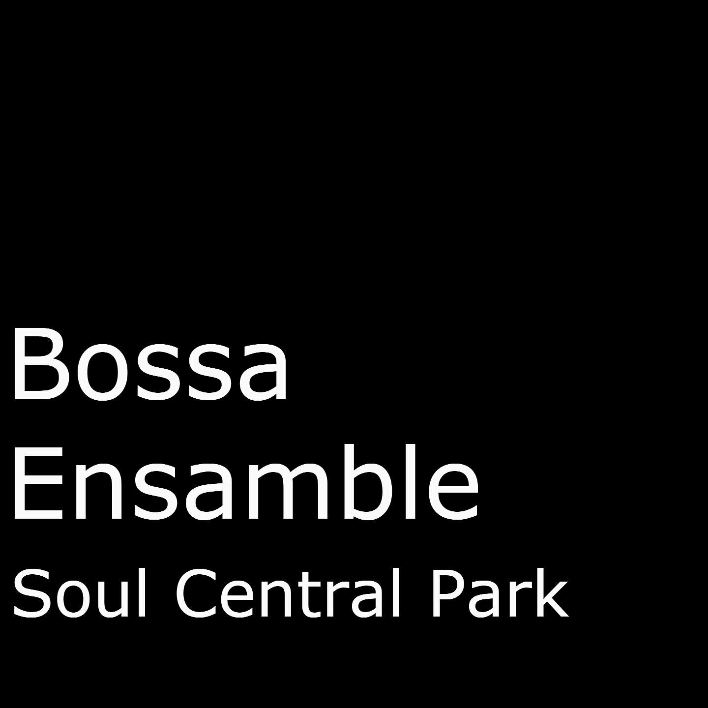 Релиз Soul Central Park