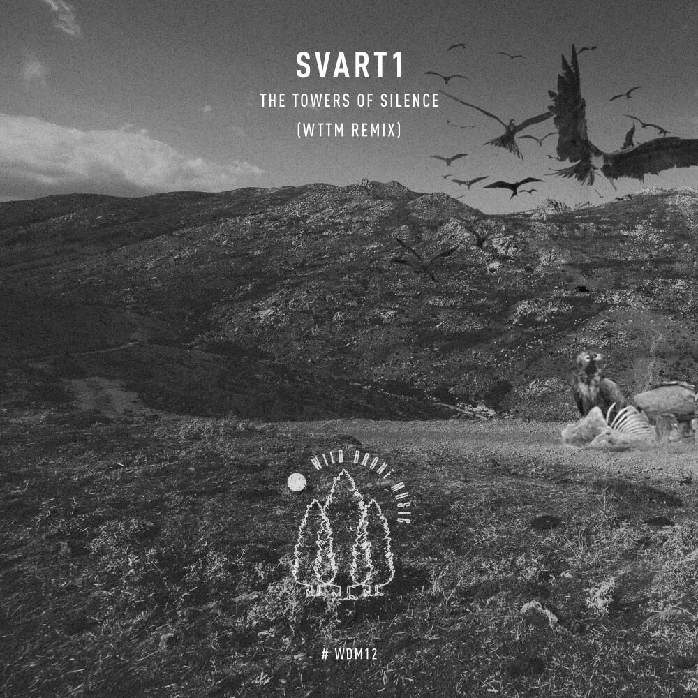 Релиз Towers of Silence