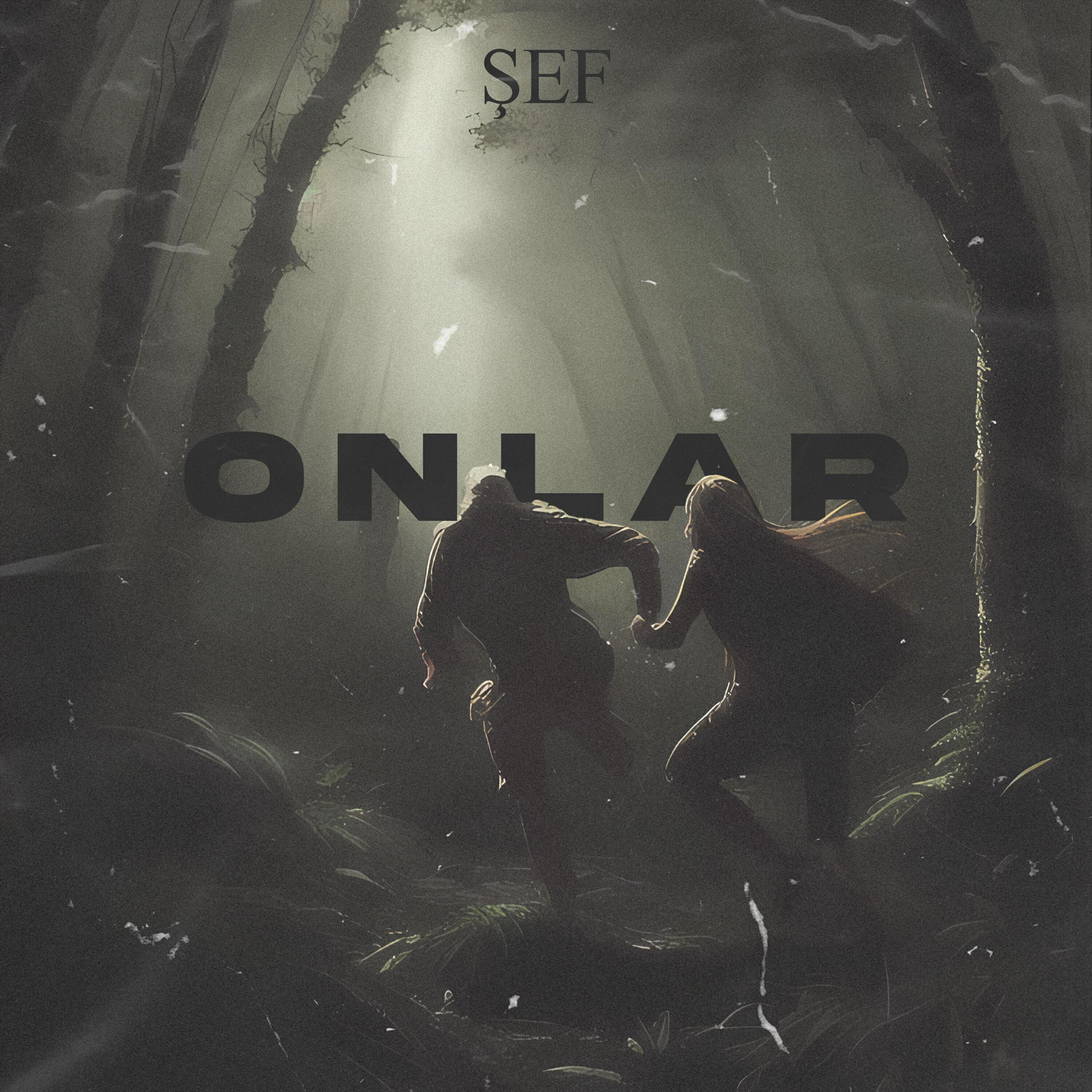 Релиз Onlar
