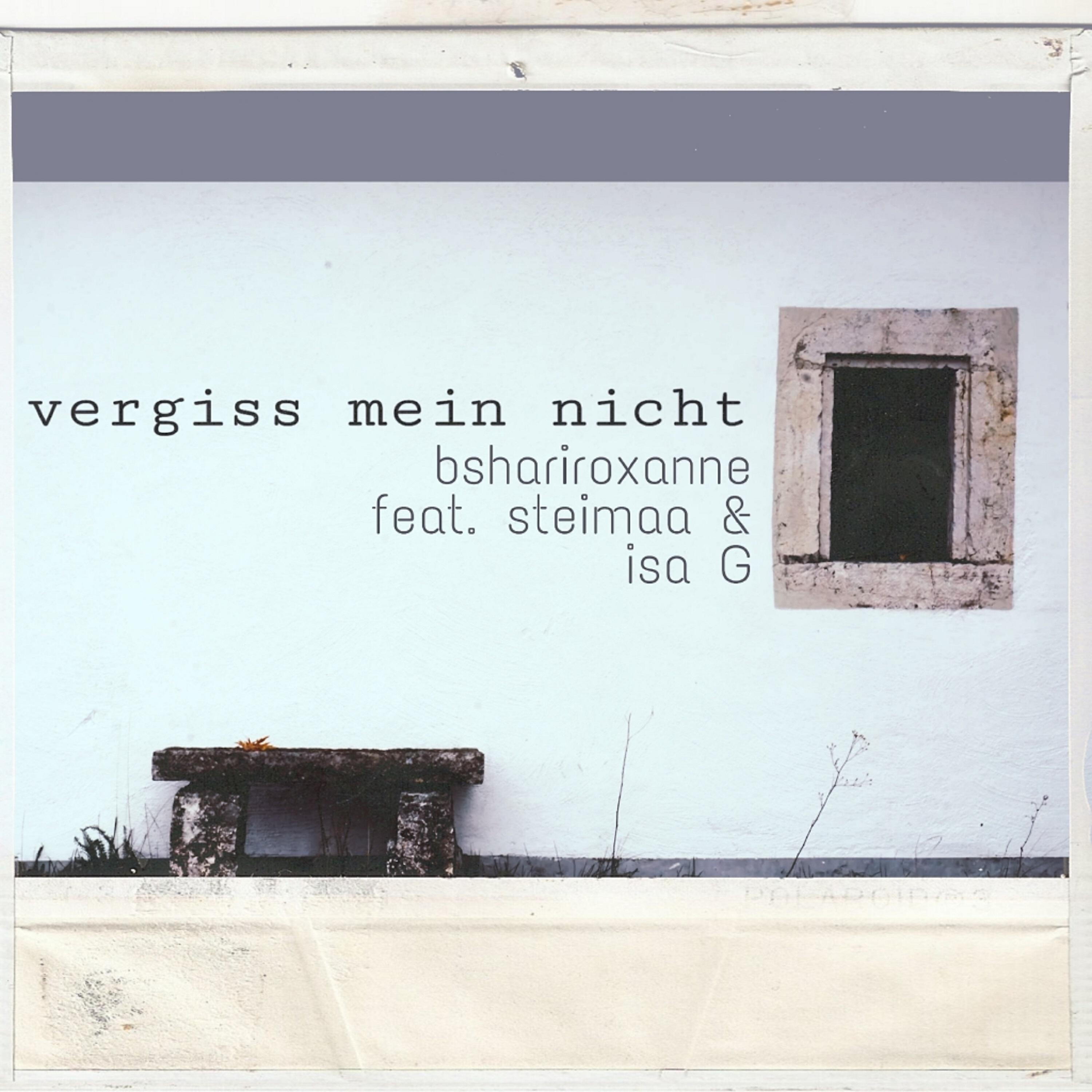 Постер альбома Vergiss mein nicht