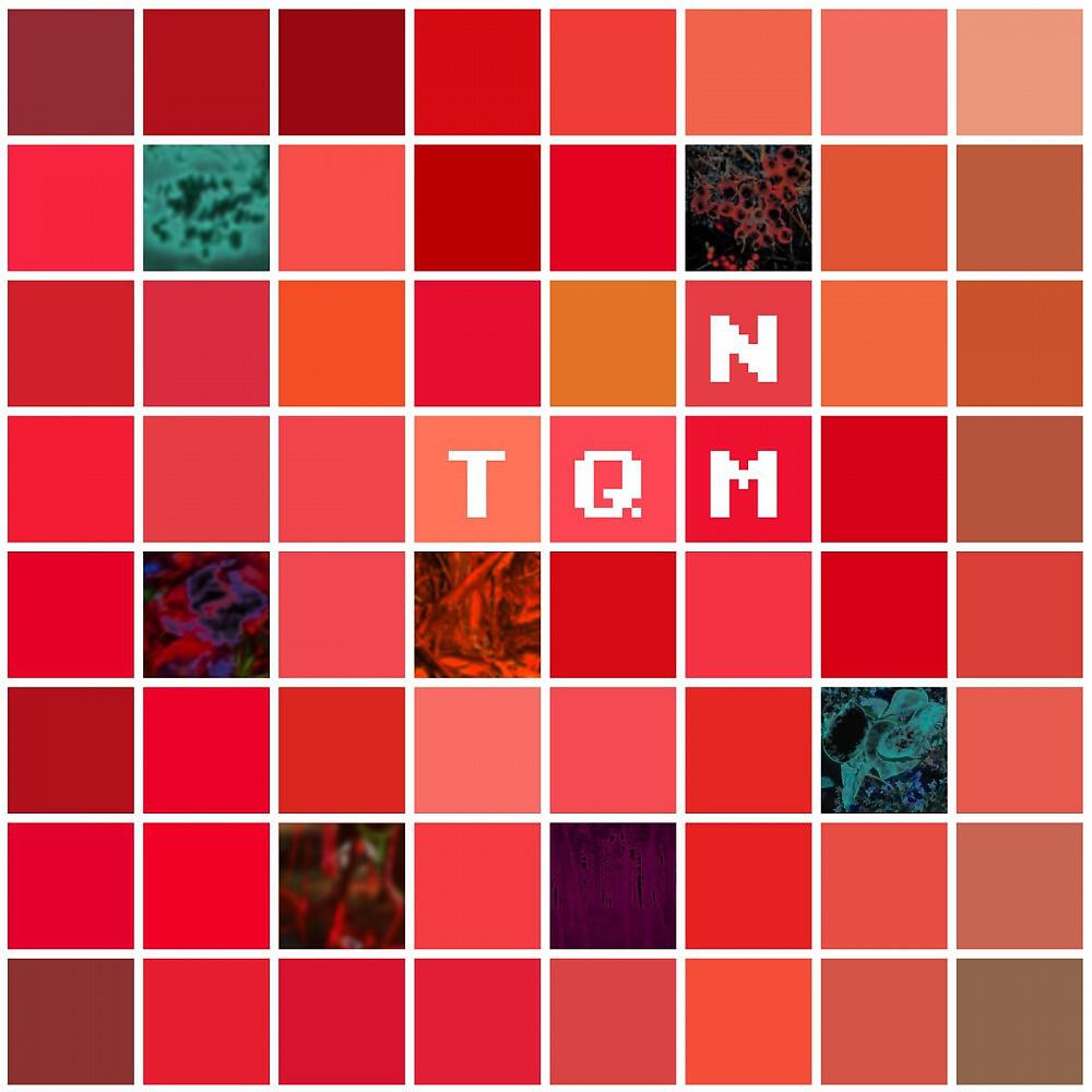 Релиз Northern Movements