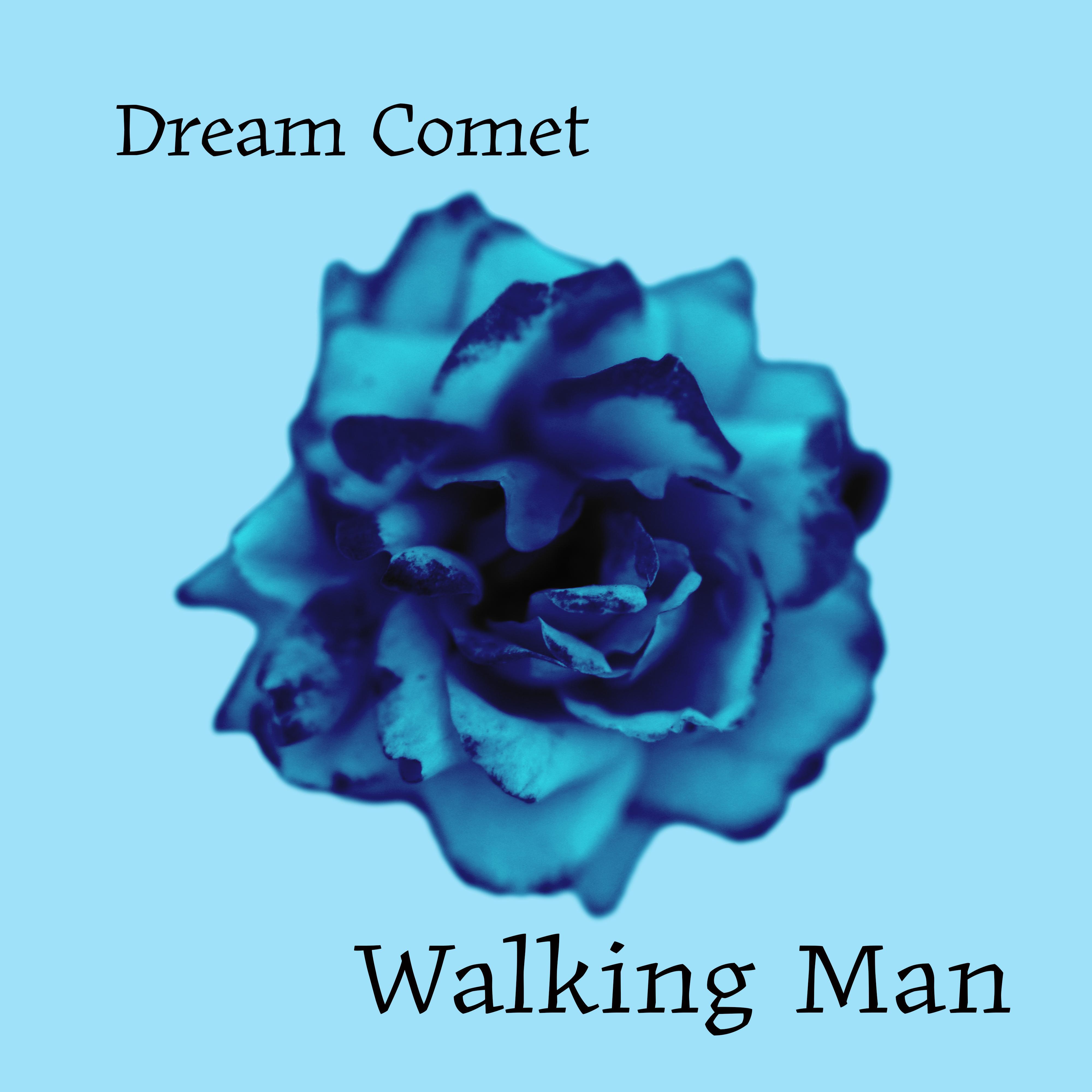Релиз Walking Man