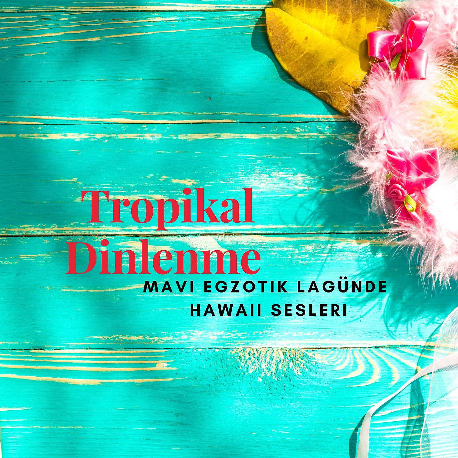 Релиз Tropikal Dinlenme: Mavi Egzotik Lagünde Hawaii Sesleri