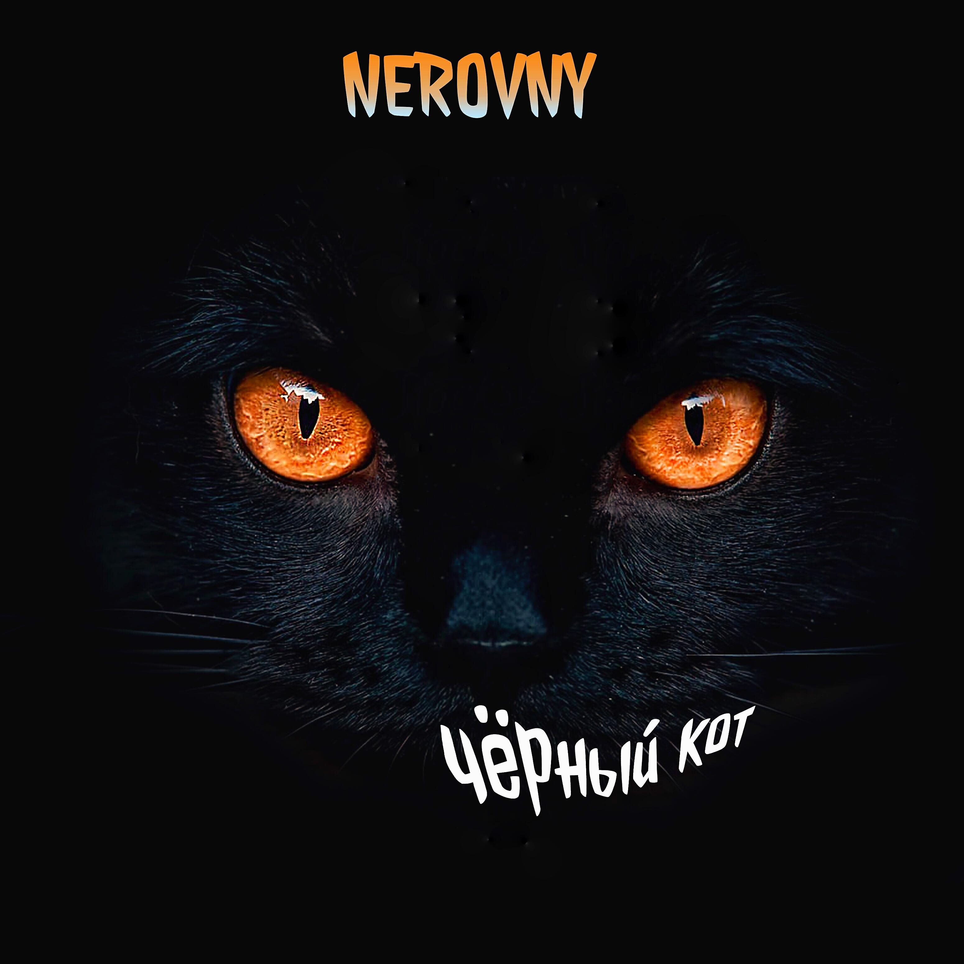 Релиз Чёрный кот