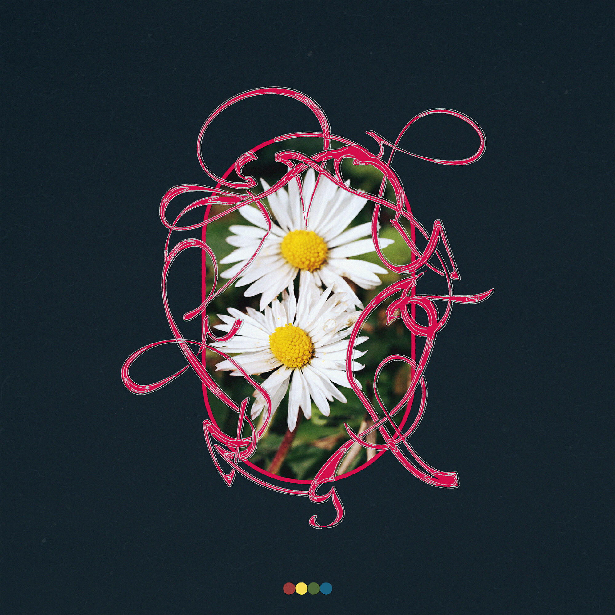 Релиз Rewild