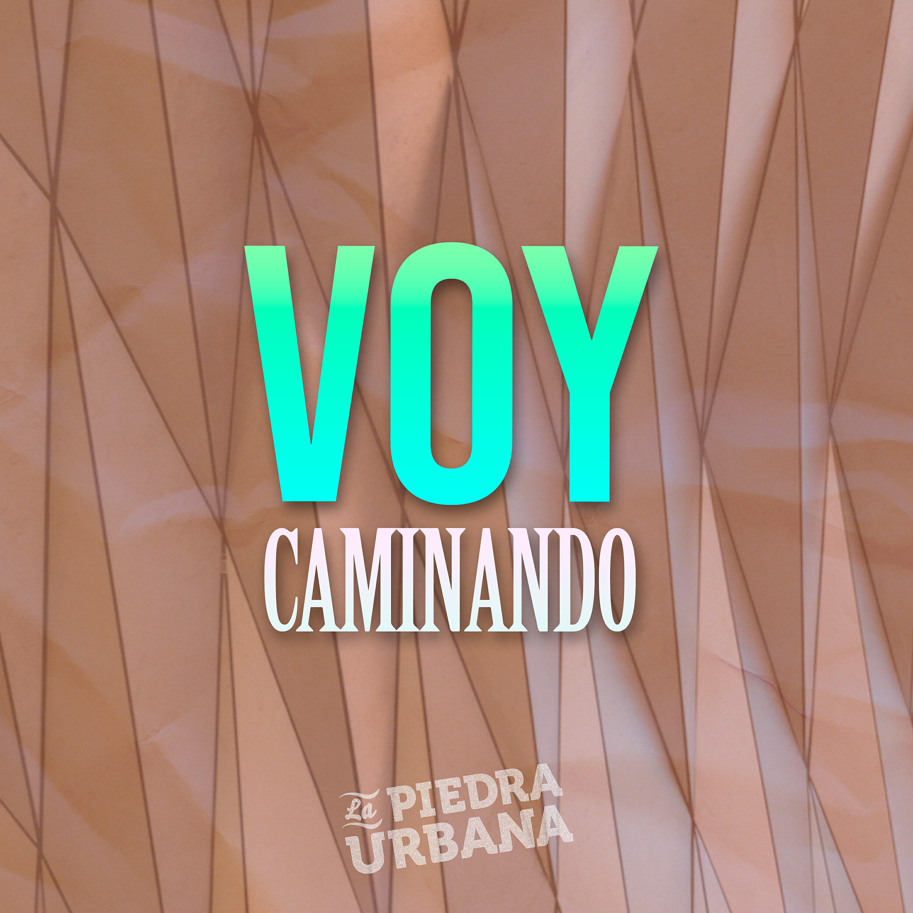 Релиз Voy Caminando