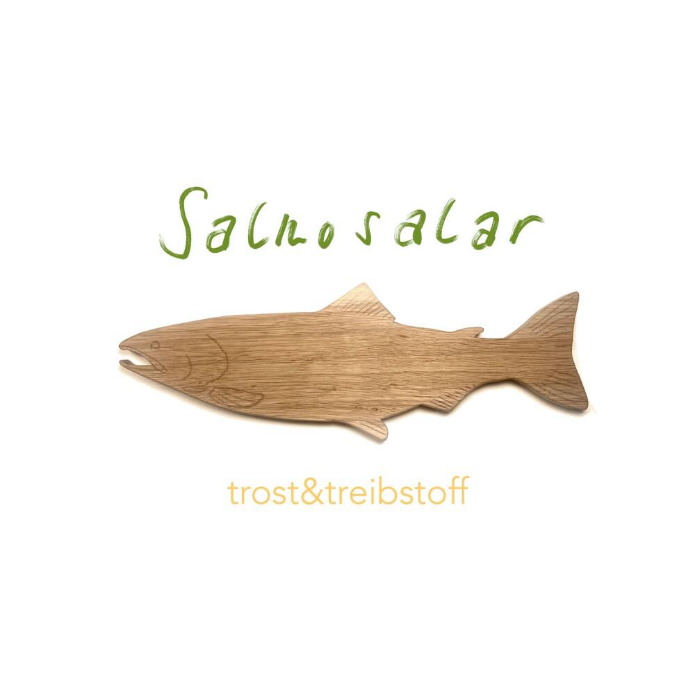 Релиз Salmo Salar