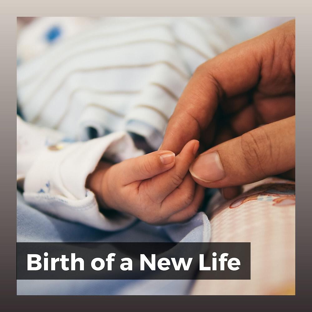 Релиз Birth of a New Life