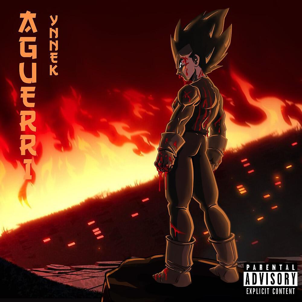 Релиз Aguerri