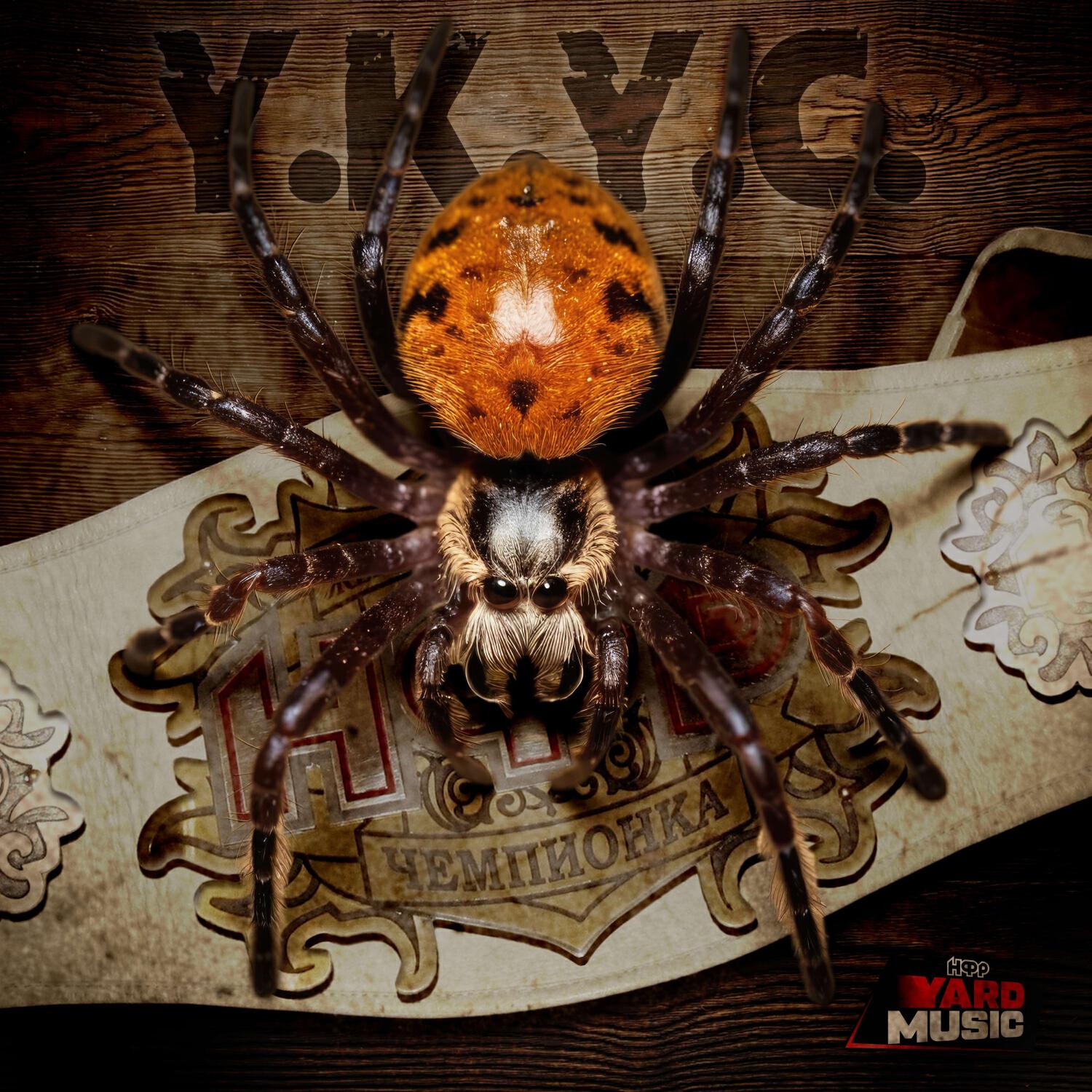 Релиз Y.K.Y.C. (Your Kingdom Your Crown)