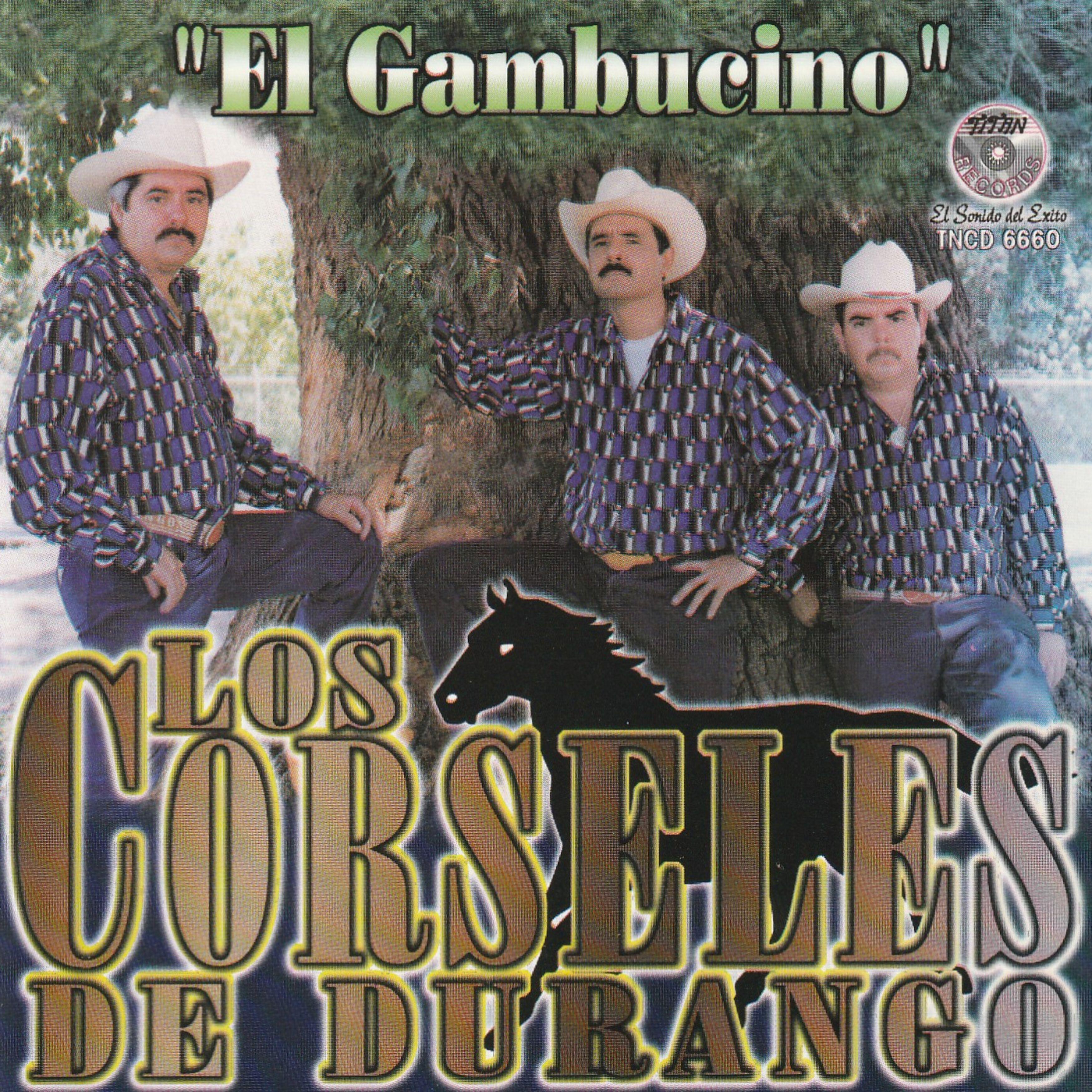 Релиз El Gambucino
