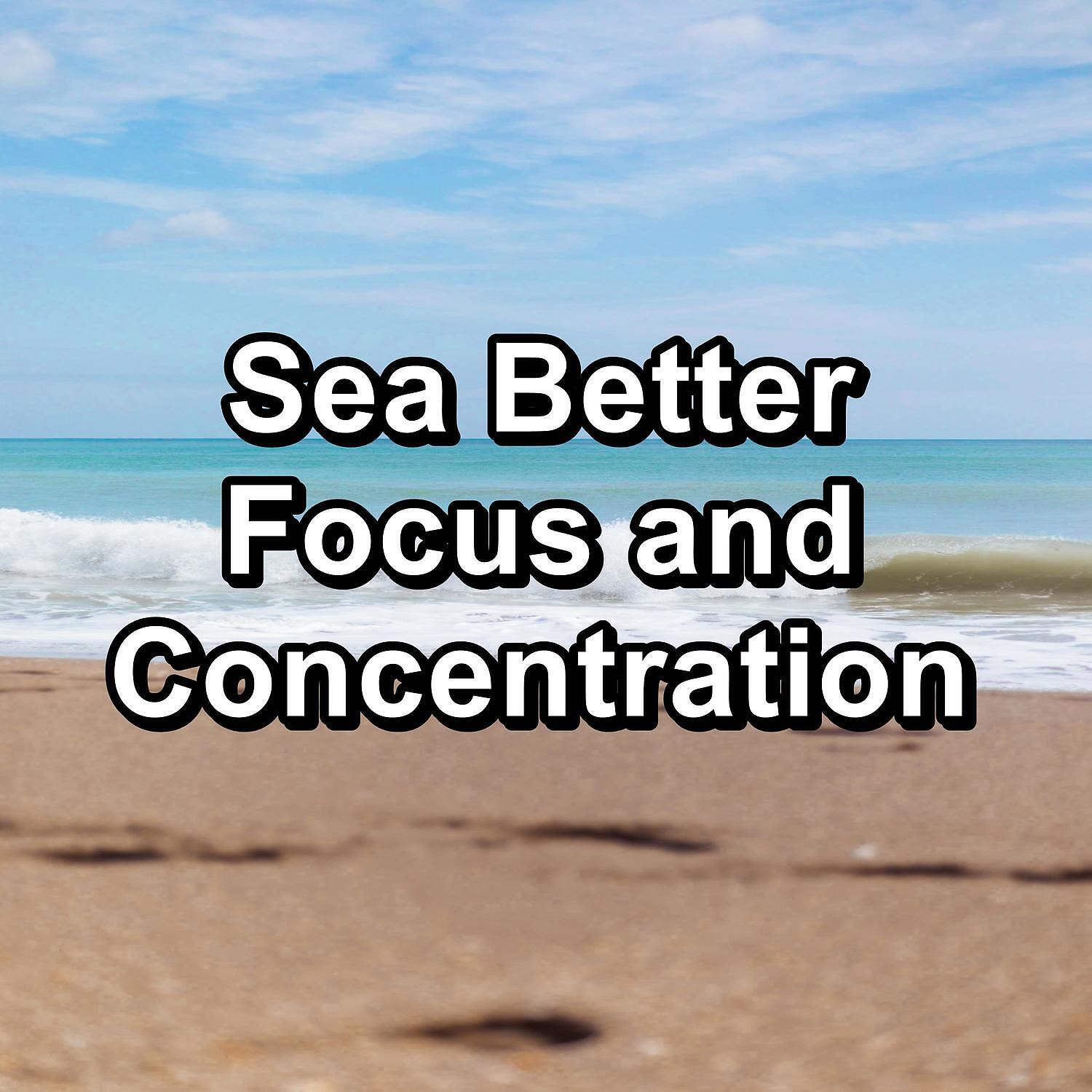 Релиз Sea Better Focus and Concentration