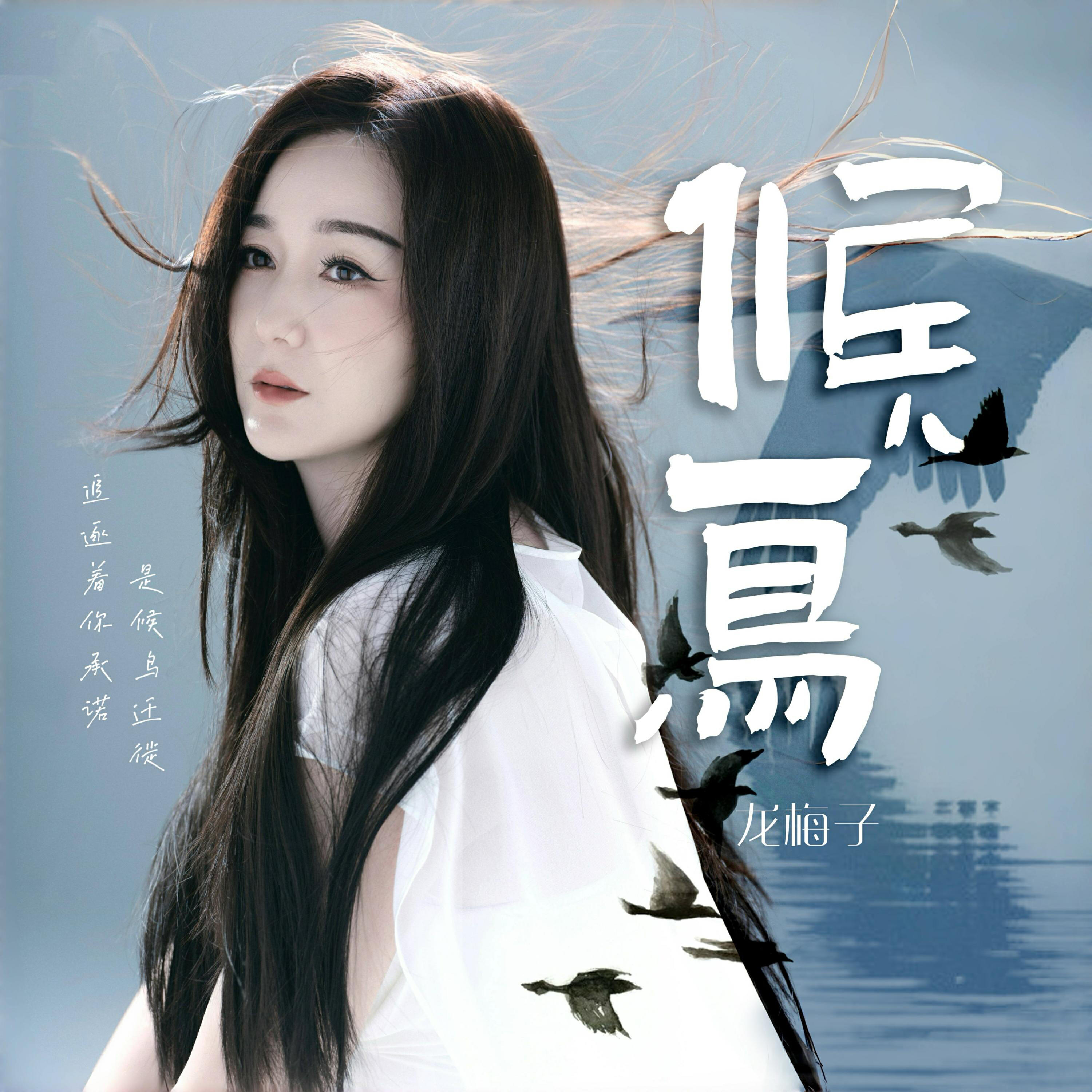 Релиз 候鳥