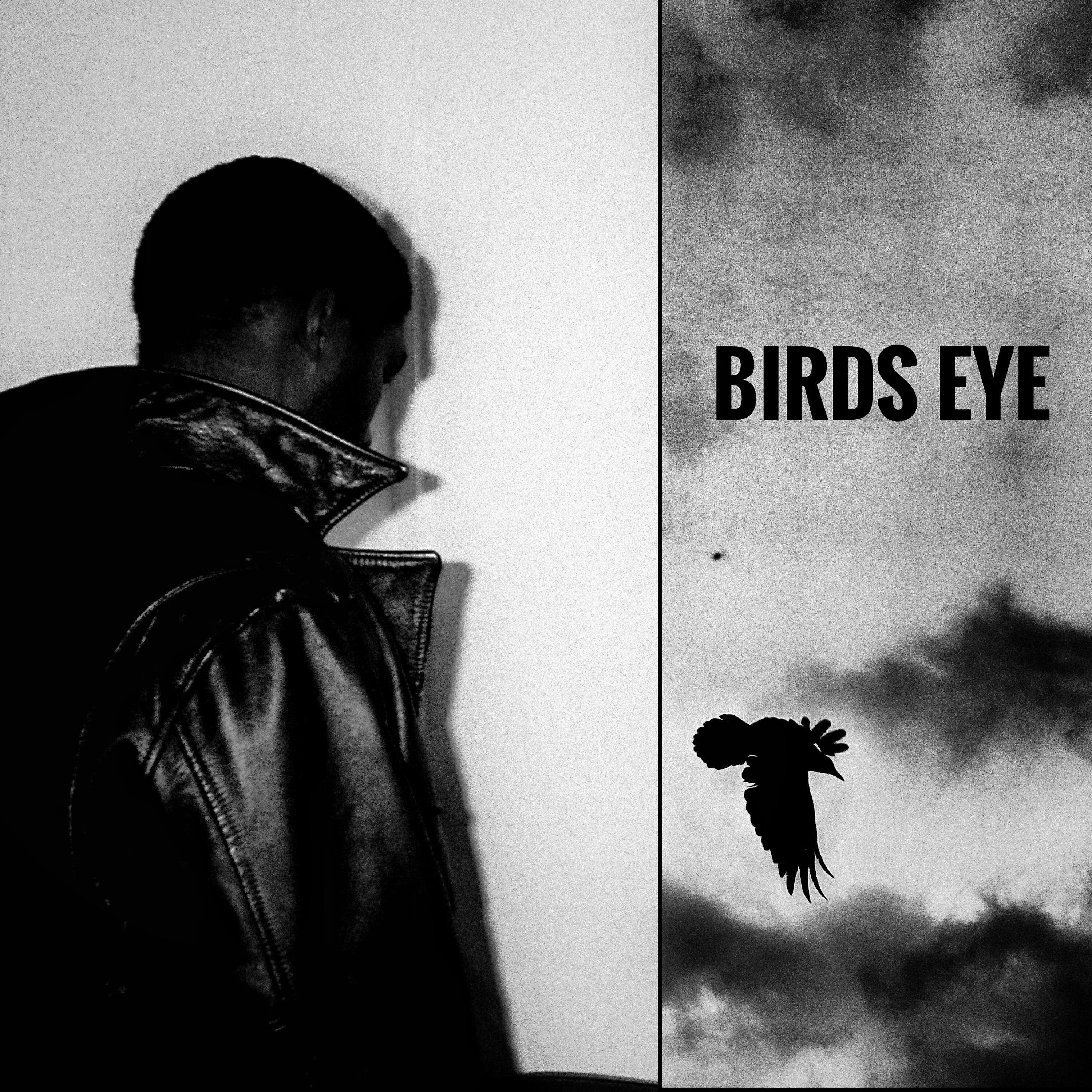 Релиз BIRDS EYE