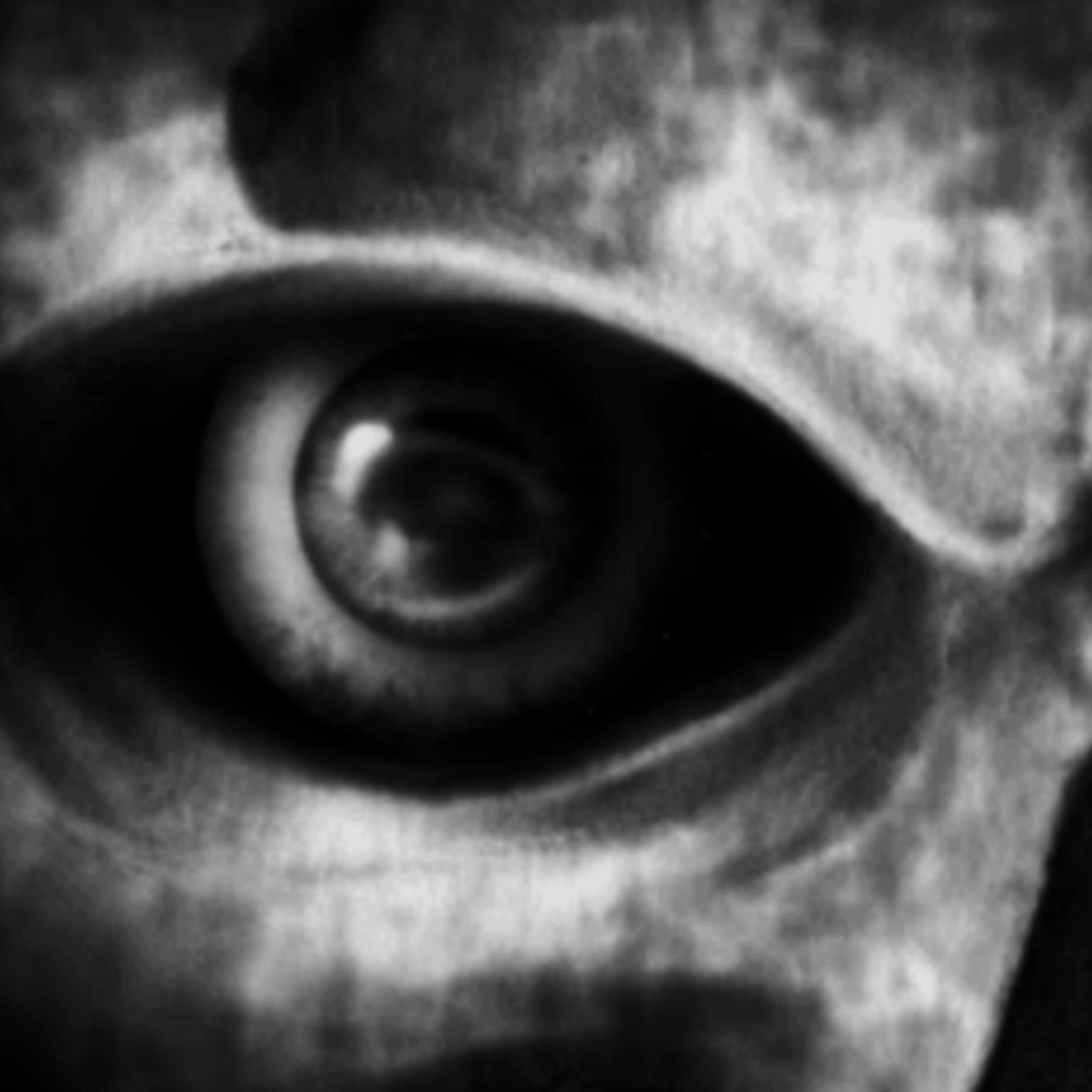 Релиз Снова