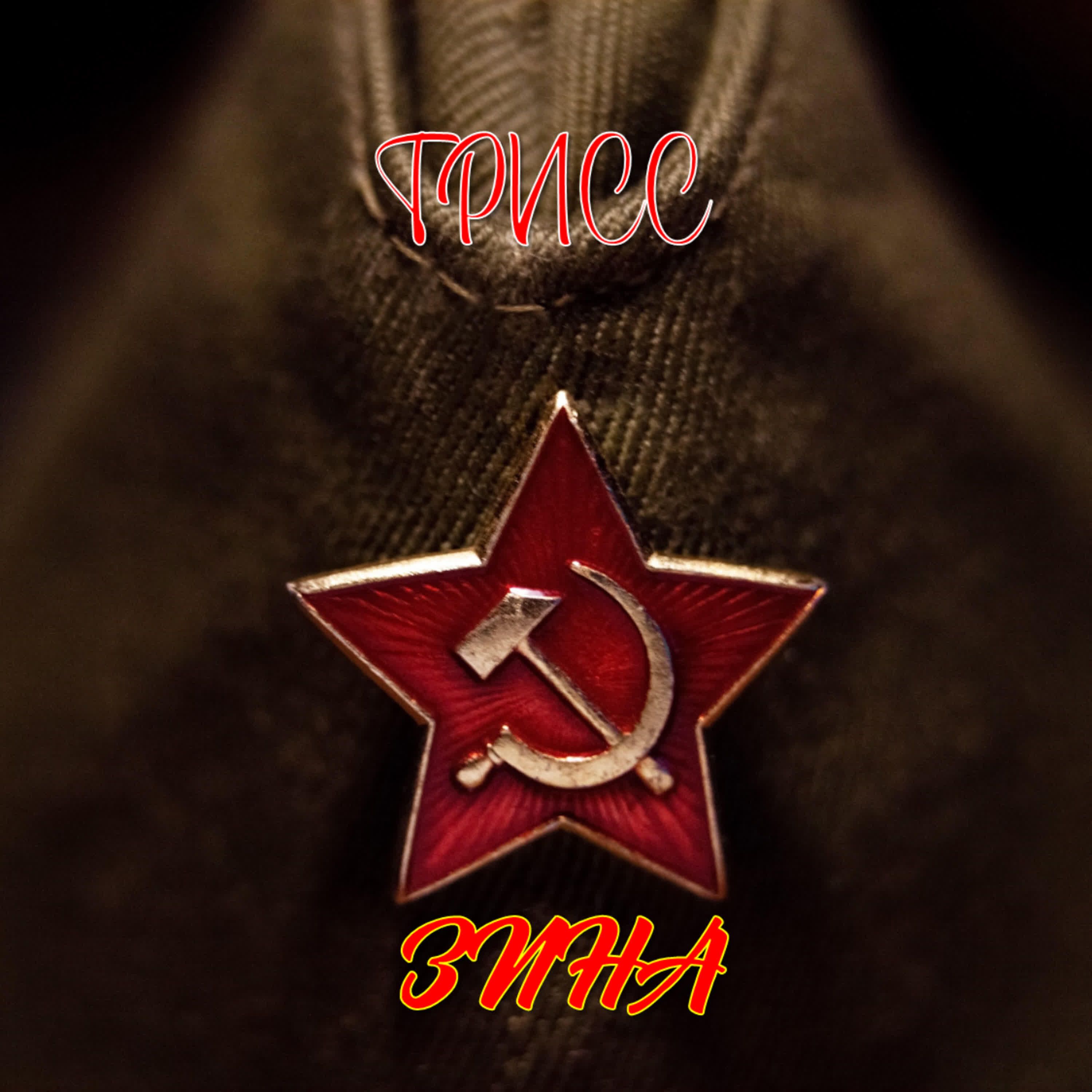 Релиз Зина