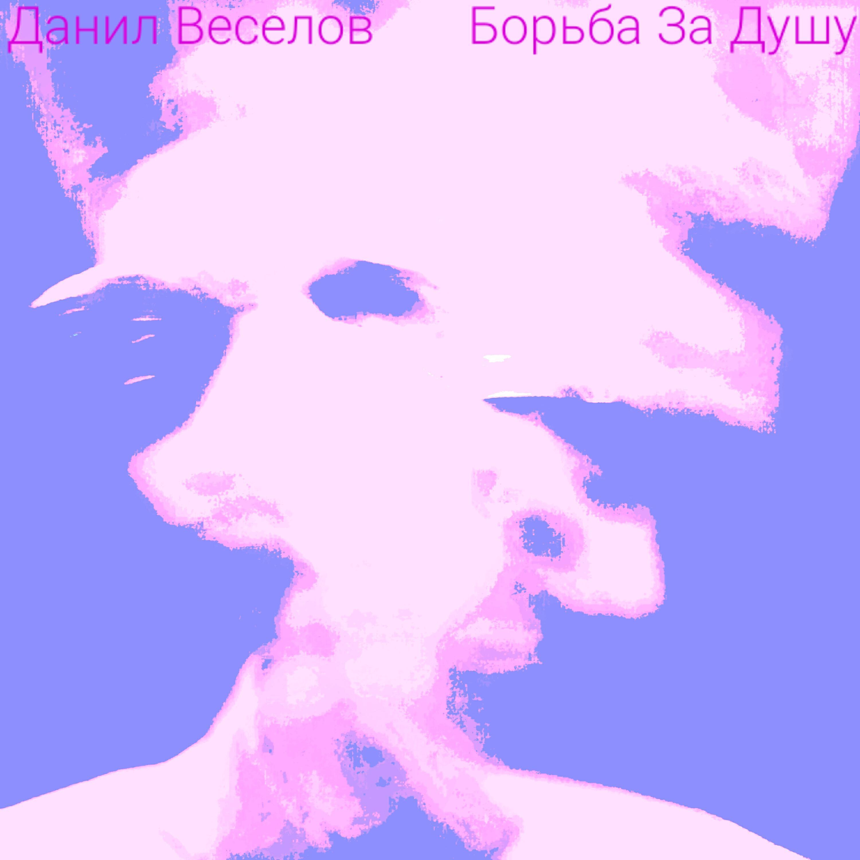 Данил Веселов