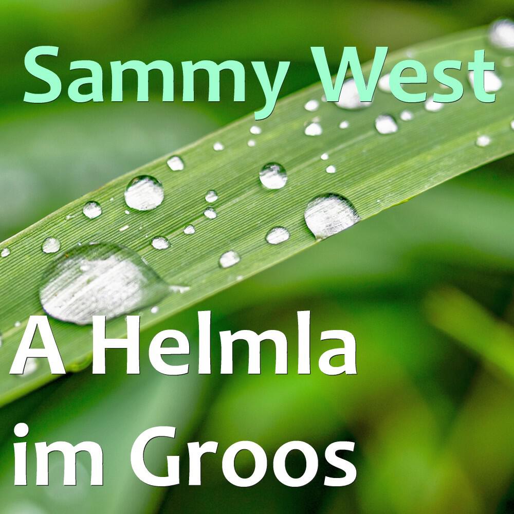 Релиз A Helmla im Groos (Radio Version)