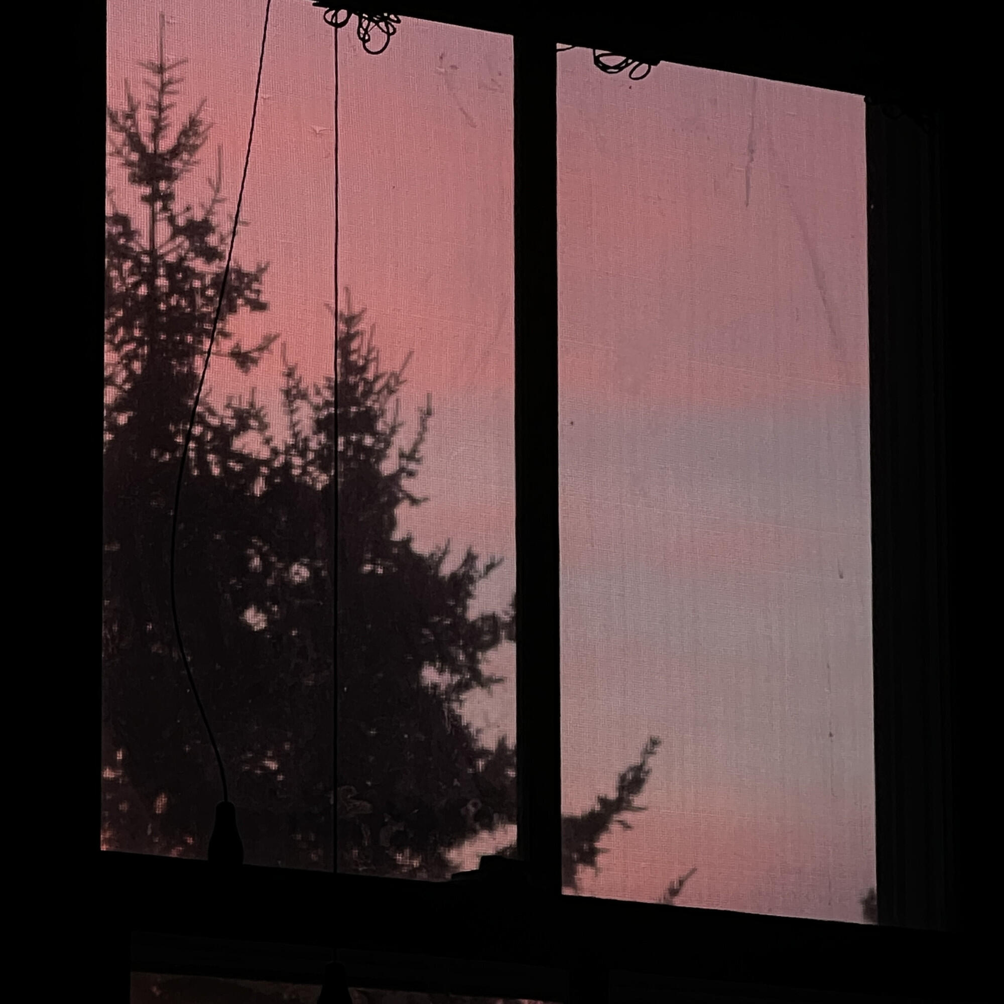 Релиз home