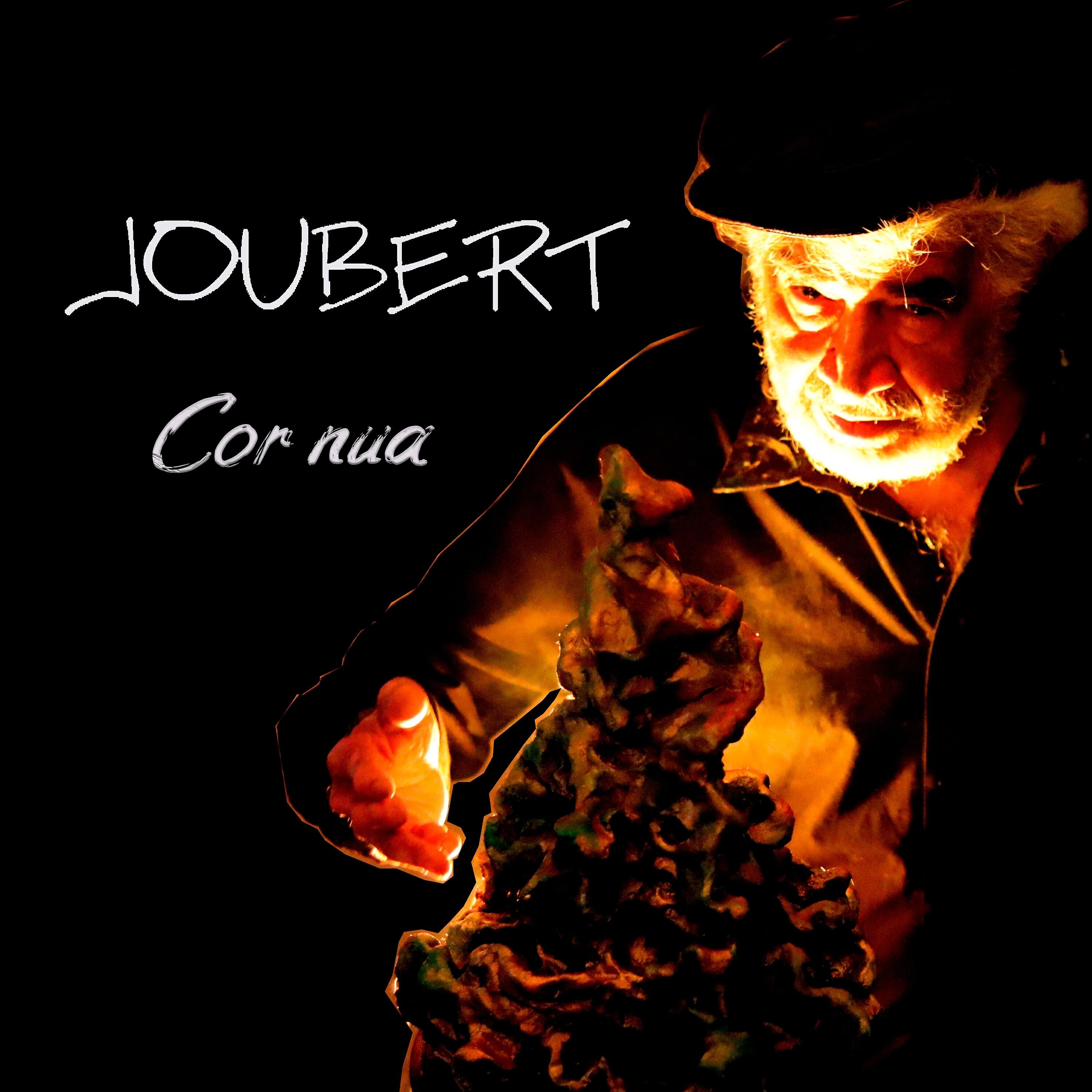 Joubert Moraes