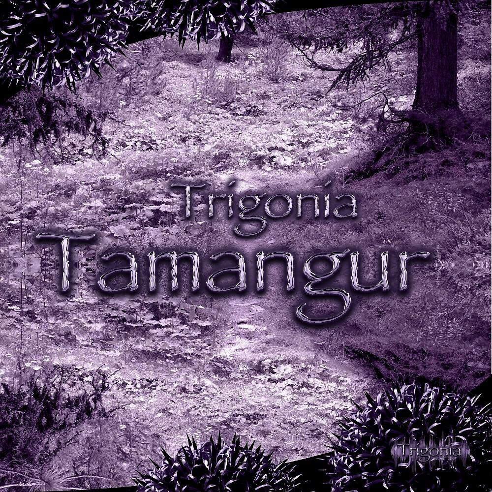 Релиз Tamangur