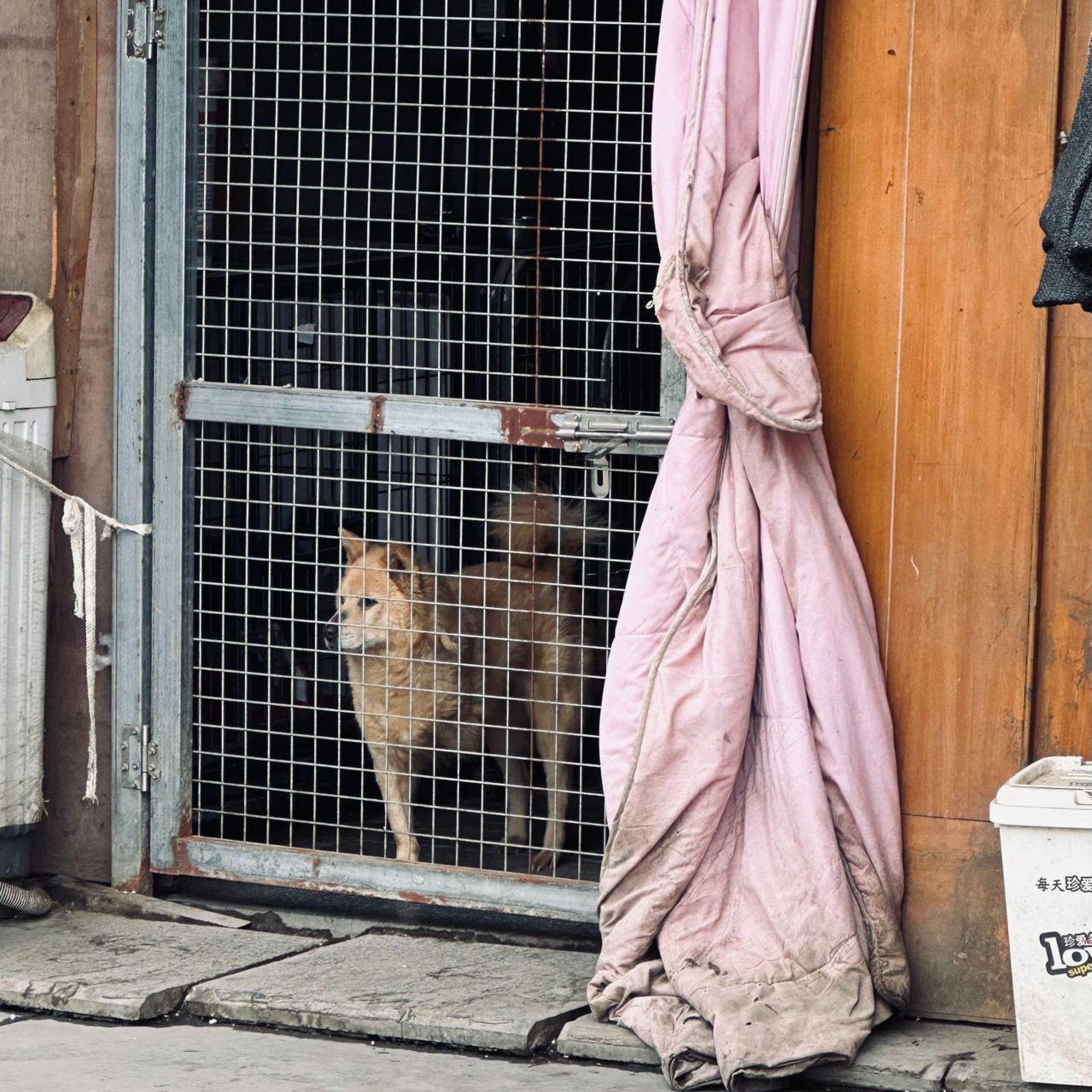 Релиз 这种感觉形容起来就像第二天起床的智齿疼