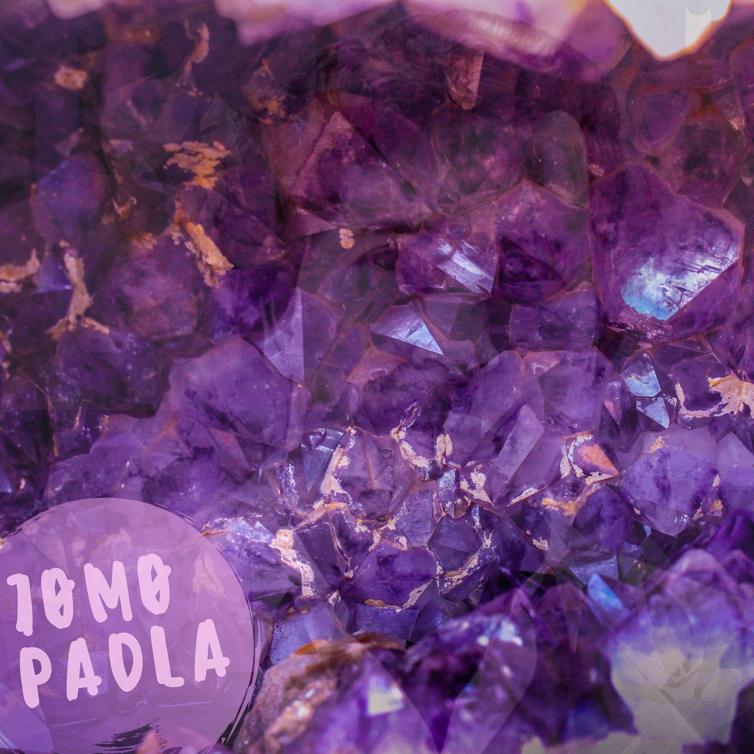 Постер альбома Padla