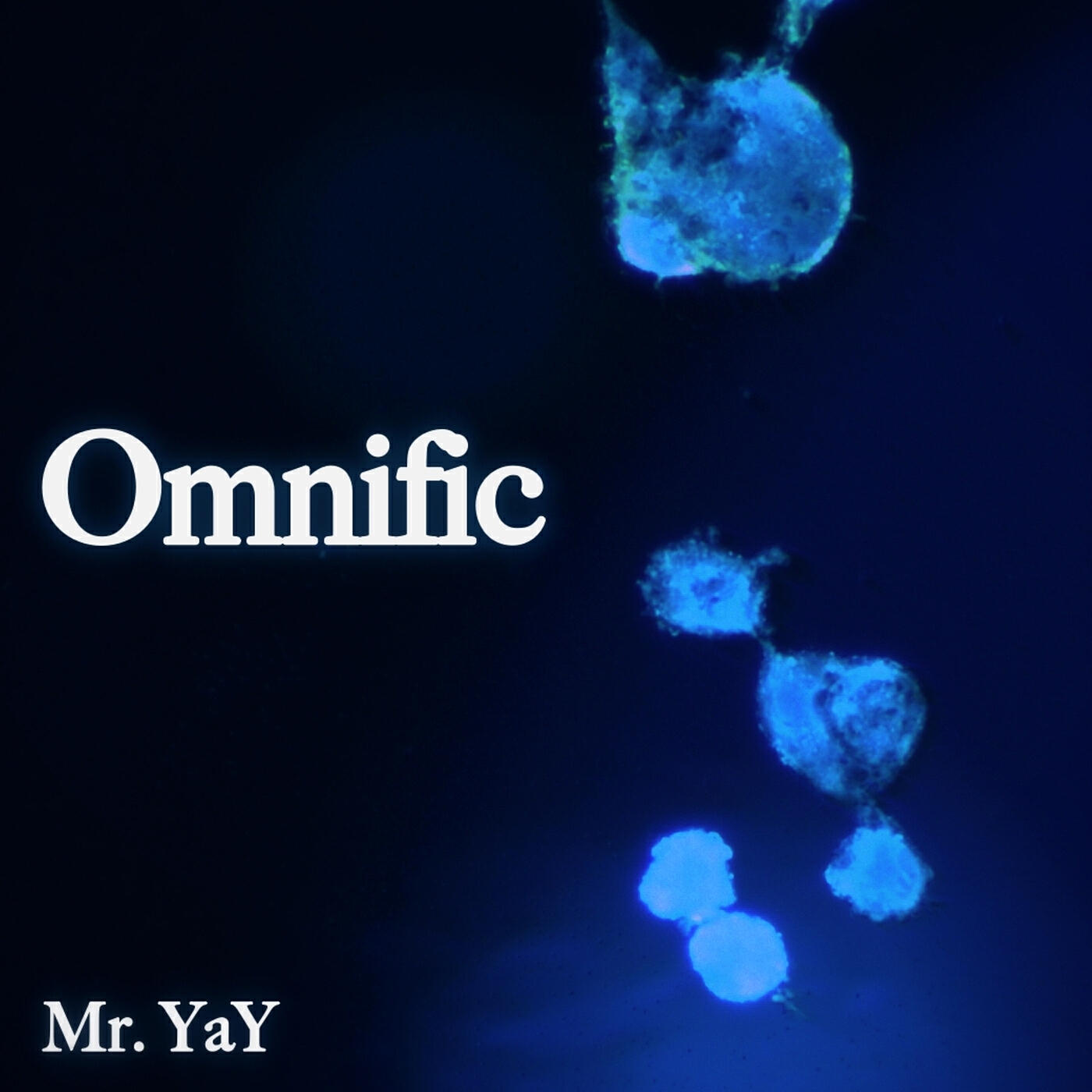 Релиз Omnific