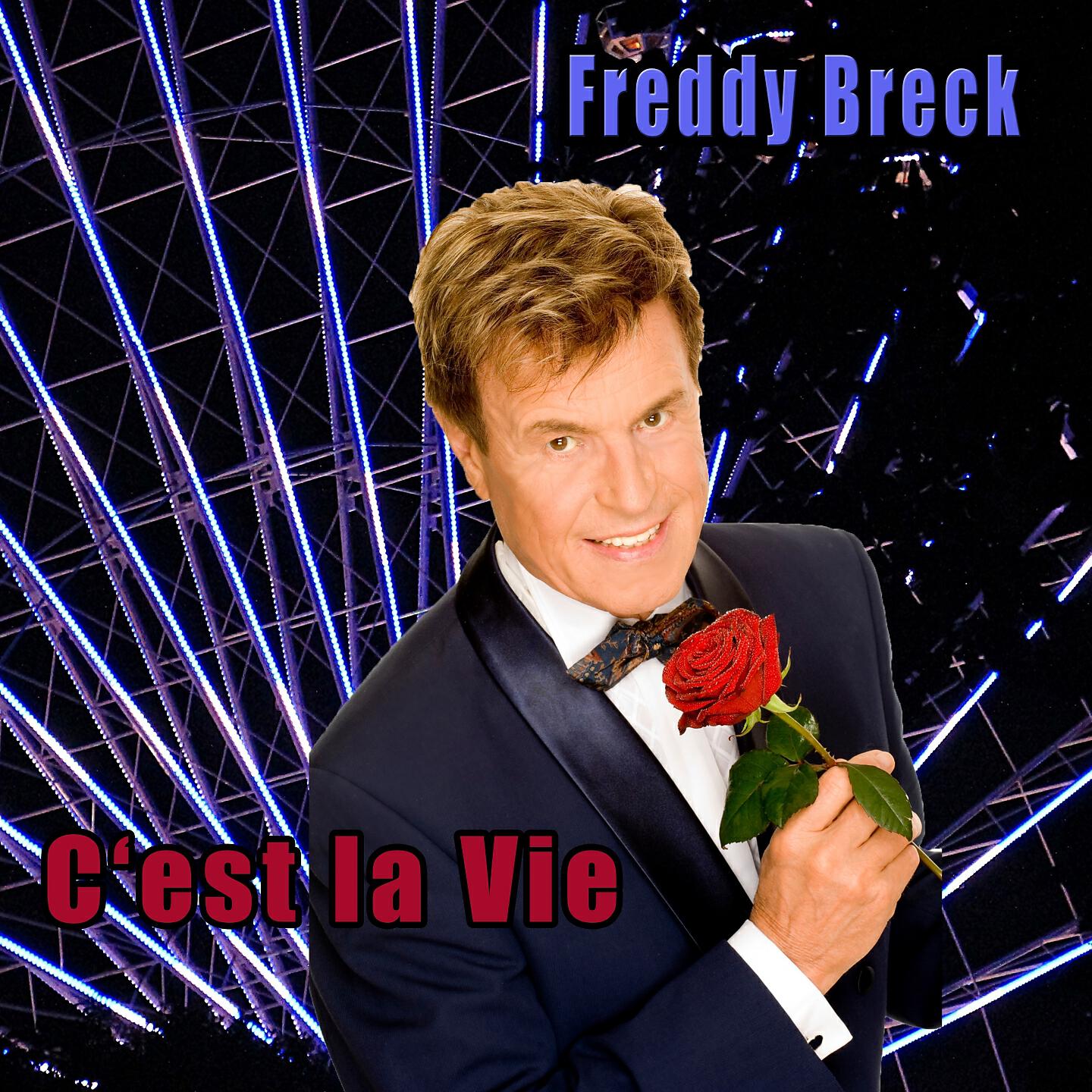 Постер альбома C'est la vie