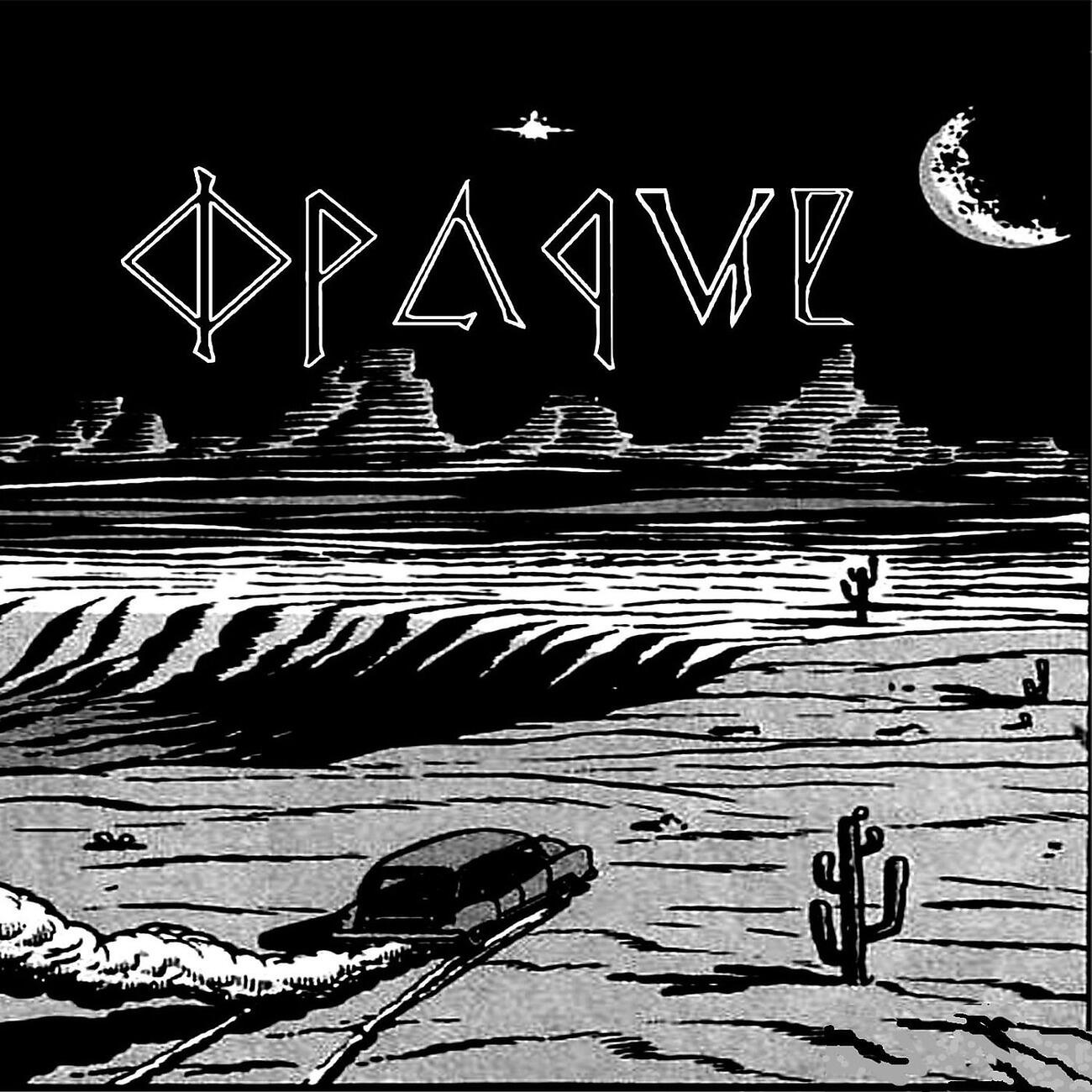 Релиз We Took His Leg Out Into The Desert For A Wake