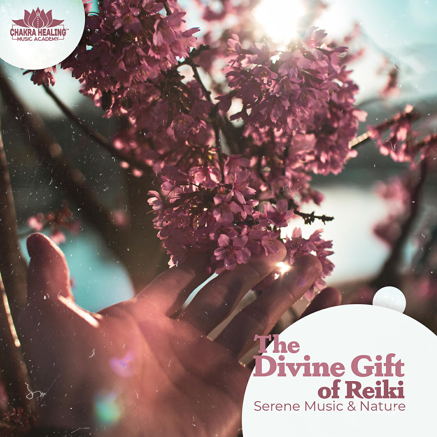 Релиз The Divine Gift of Reiki – Serene Music & Nature, Touch of Mysterious Energy