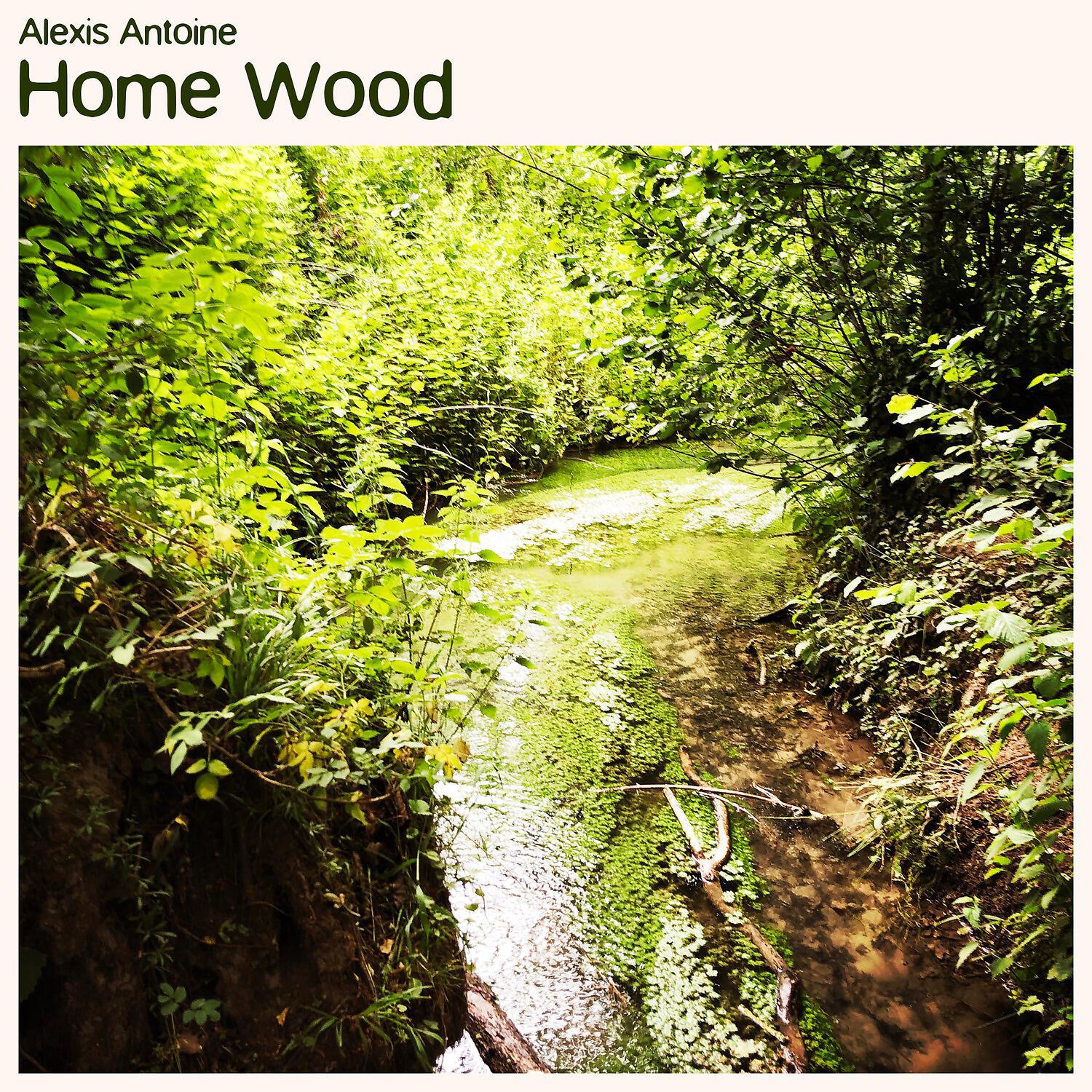 Релиз Home Wood