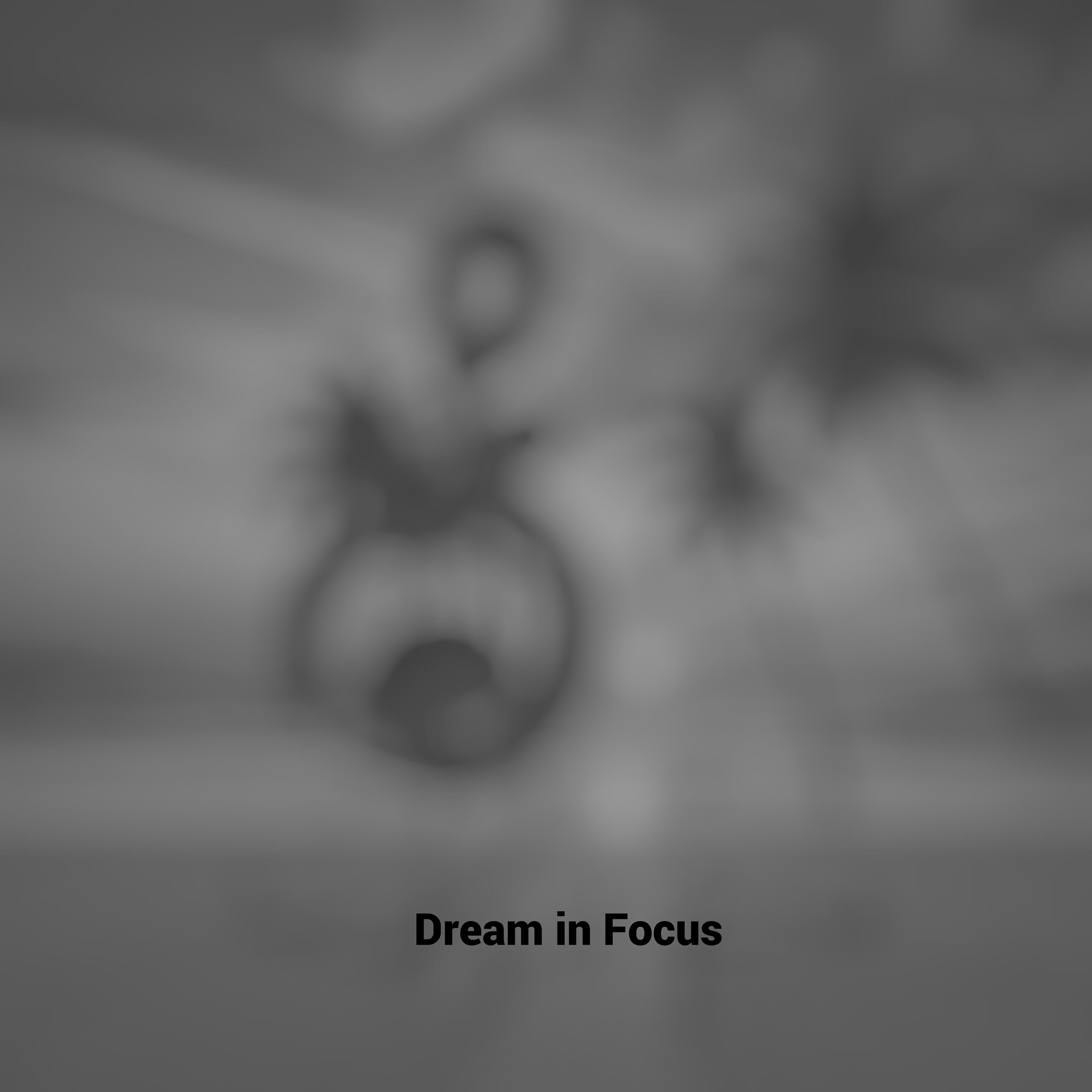 Релиз Dream in Focus