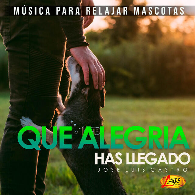 Релиз Que Alegría Has Llegado (Música Para Relajar Mascotas)