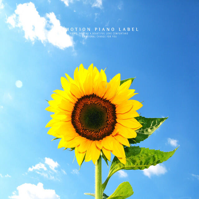 Релиз New Age piano collection that gives joy to the heart