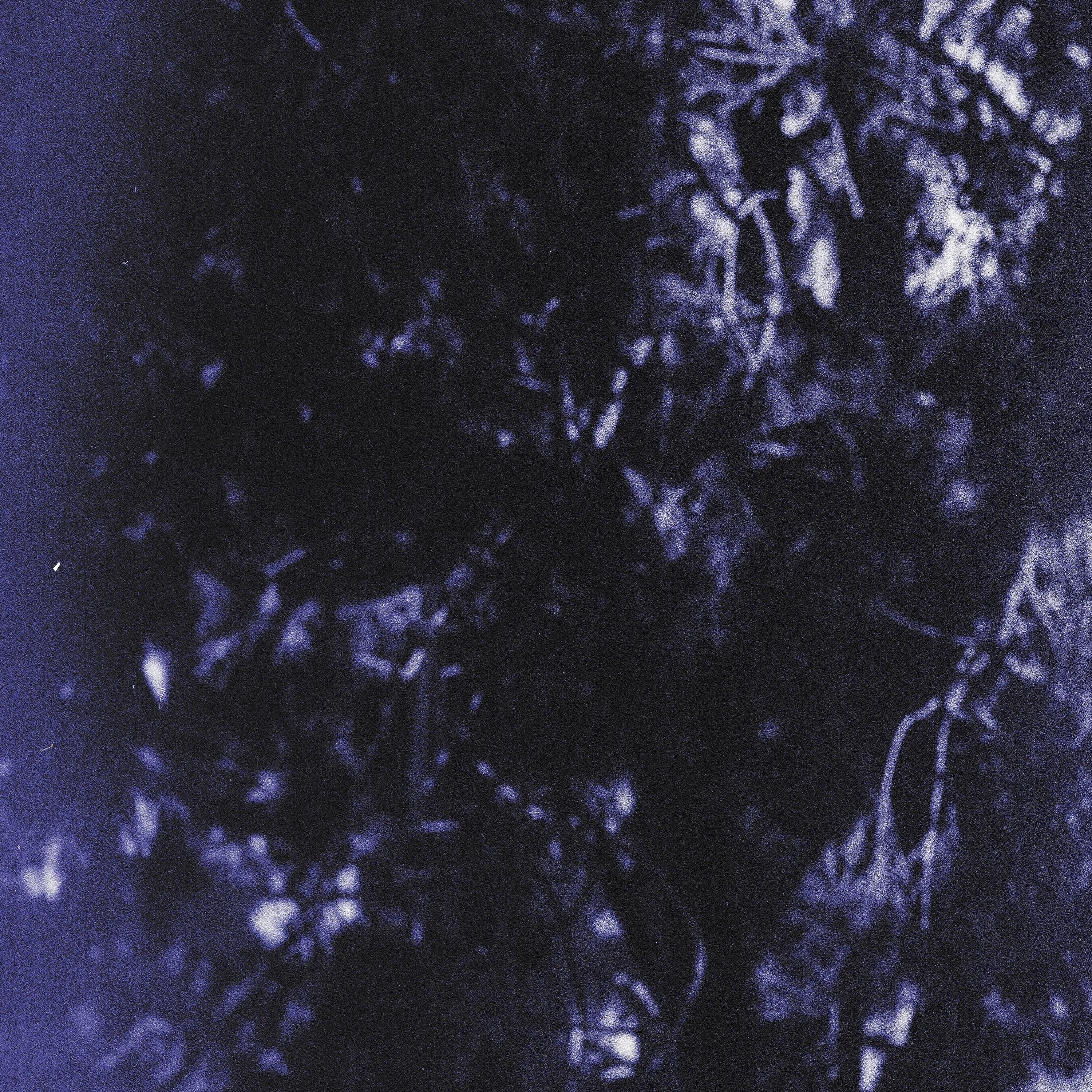 Релиз dream river. (Async Ross reworks)