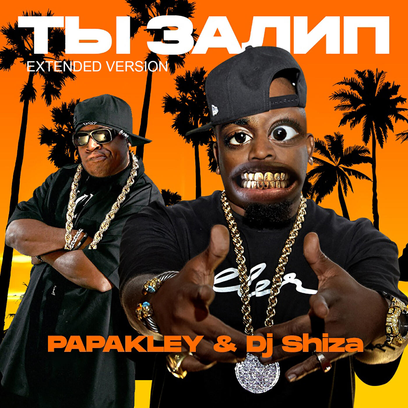 Ты залип (Extended Version) - PAPAKLEY, Dj Shiza – слушать песню