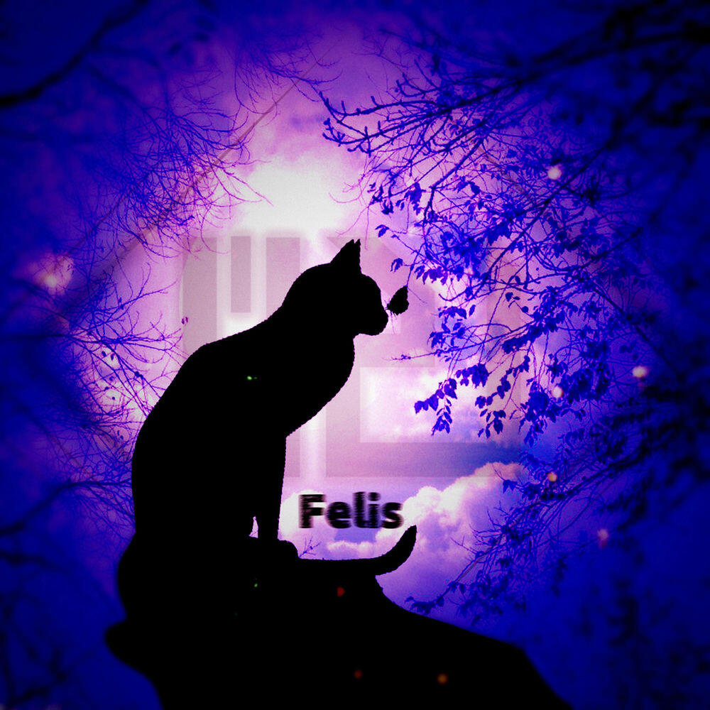 Релиз Felis