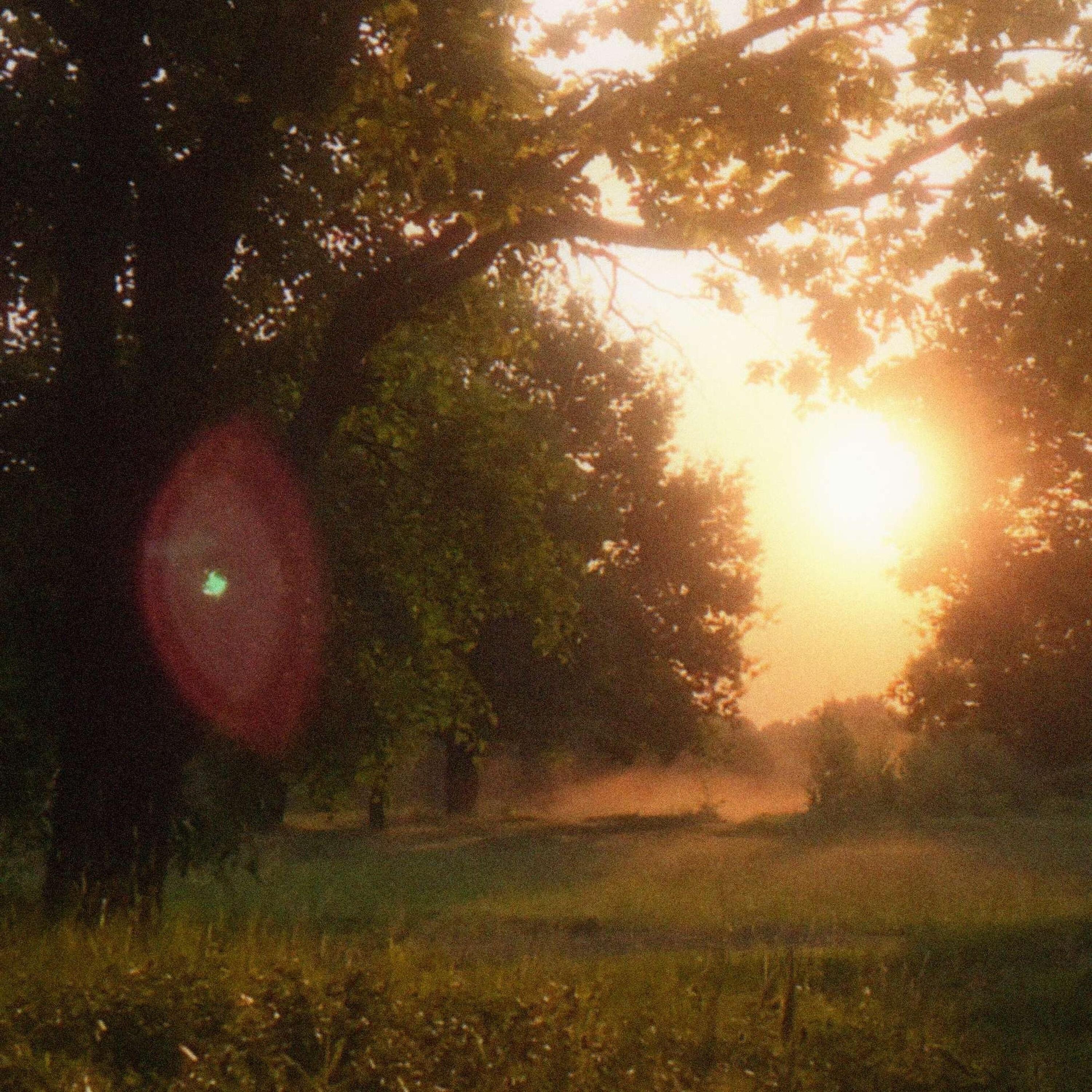 Релиз golden haze