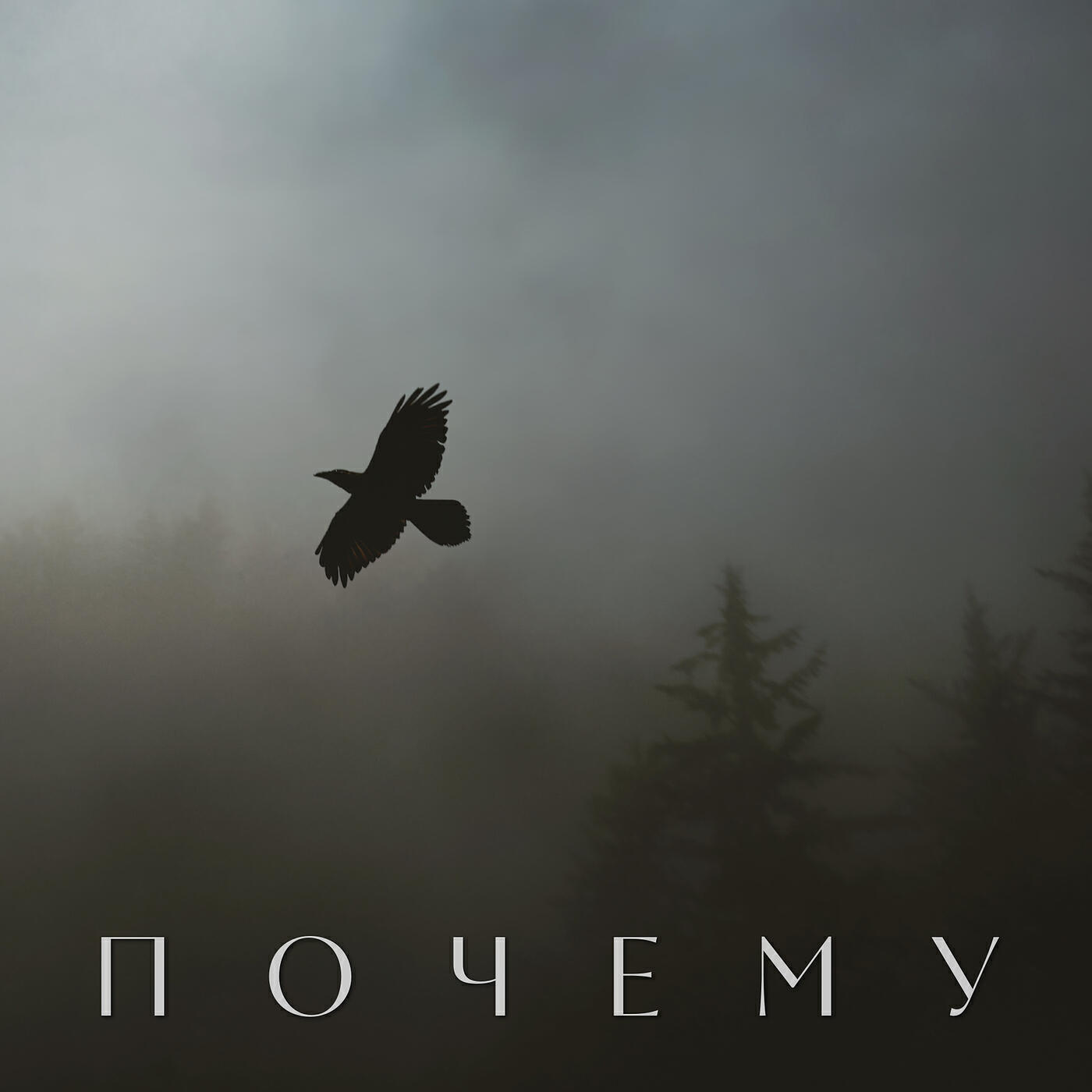 Релиз Почему