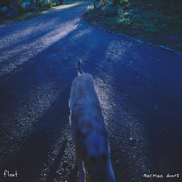 Релиз Norman Doors