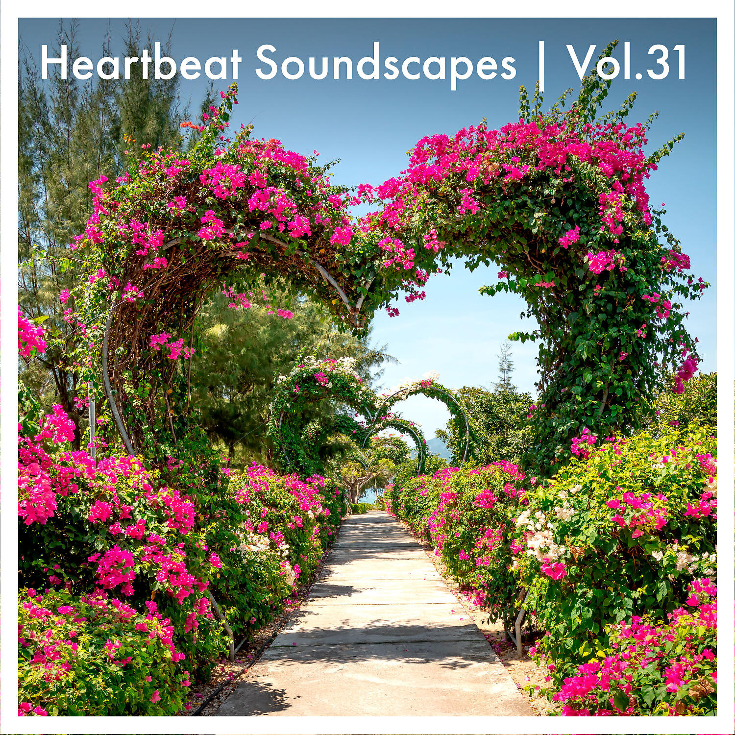 Релиз Heartbeat Soundscapes, Vol. 31