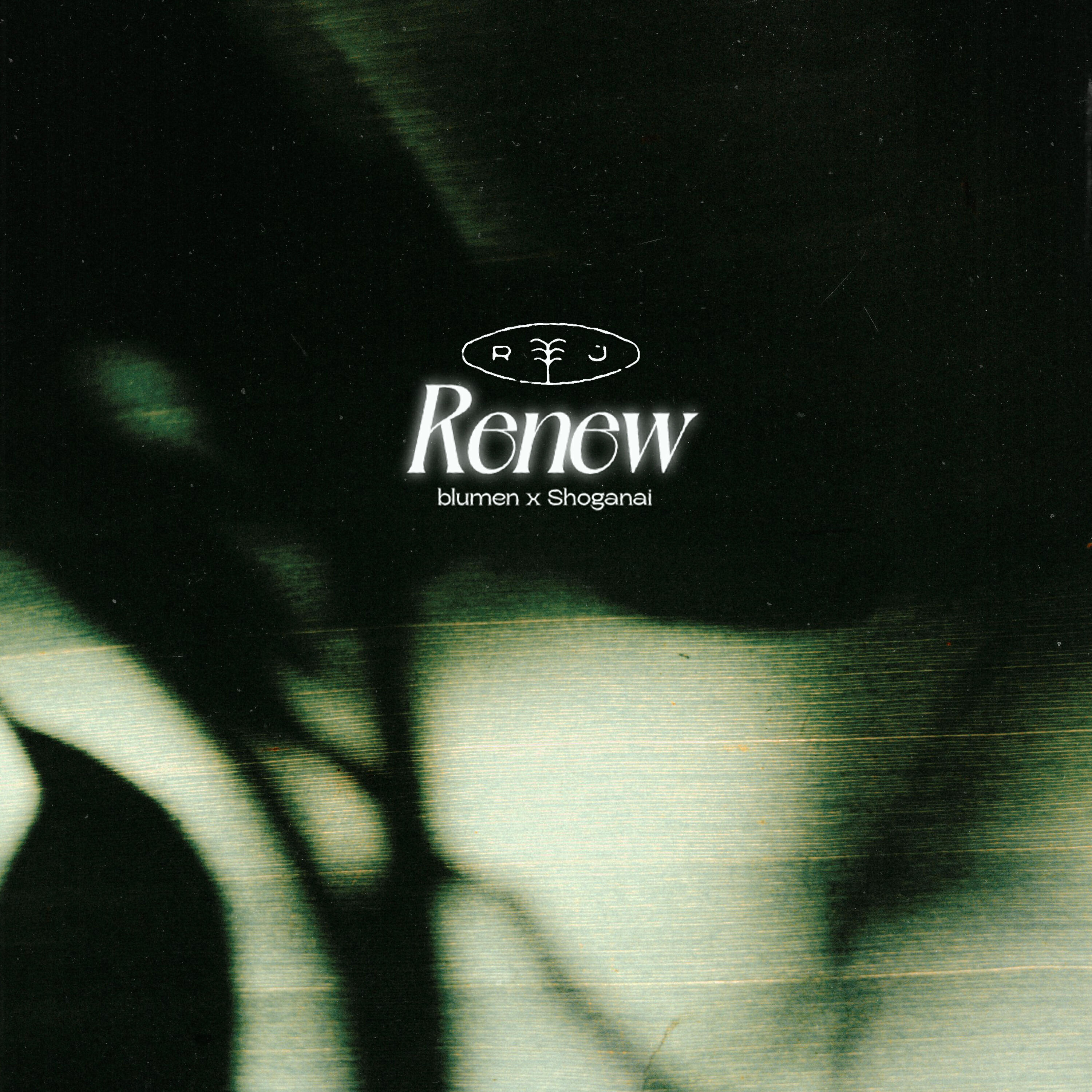 Релиз Renew