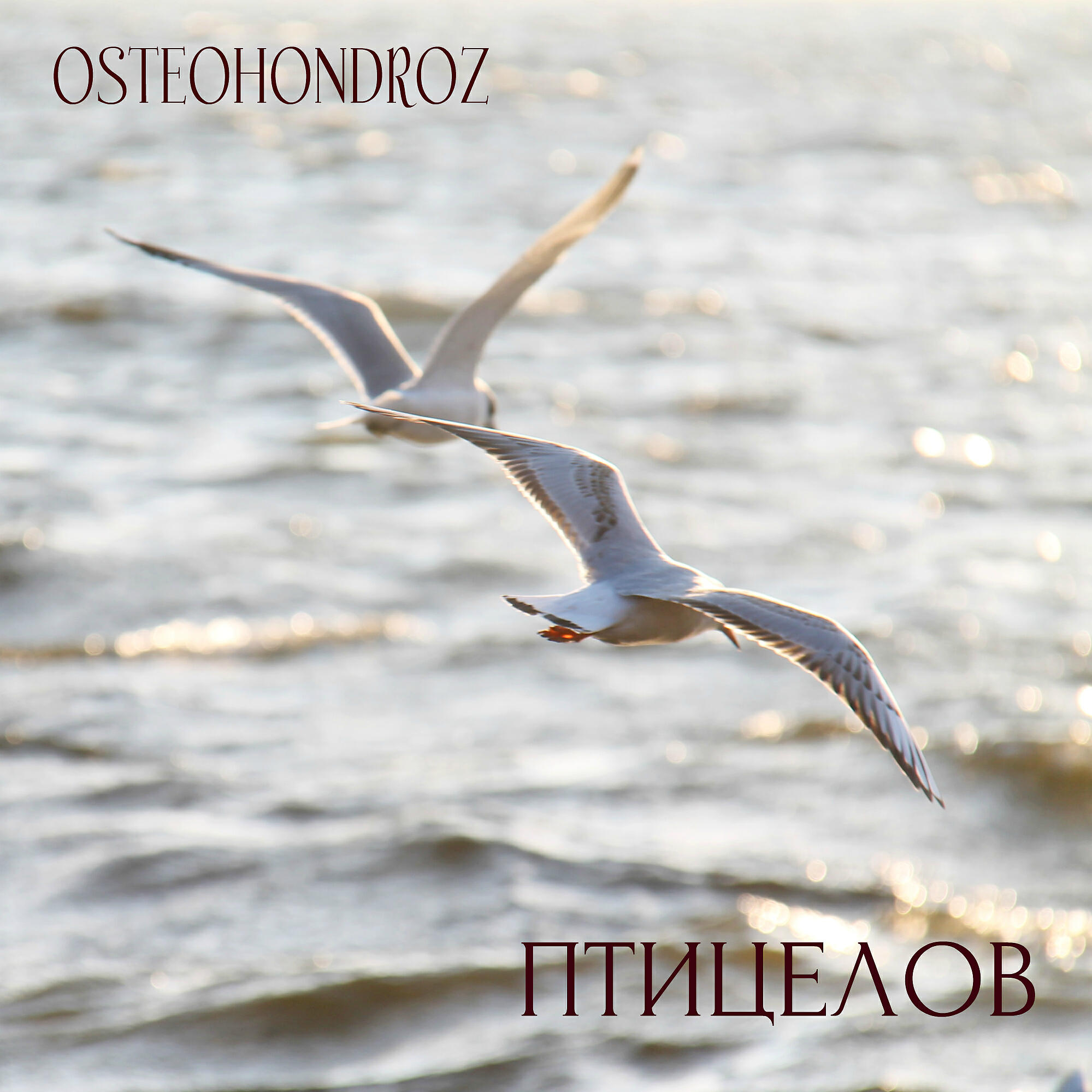 Osteohondroz