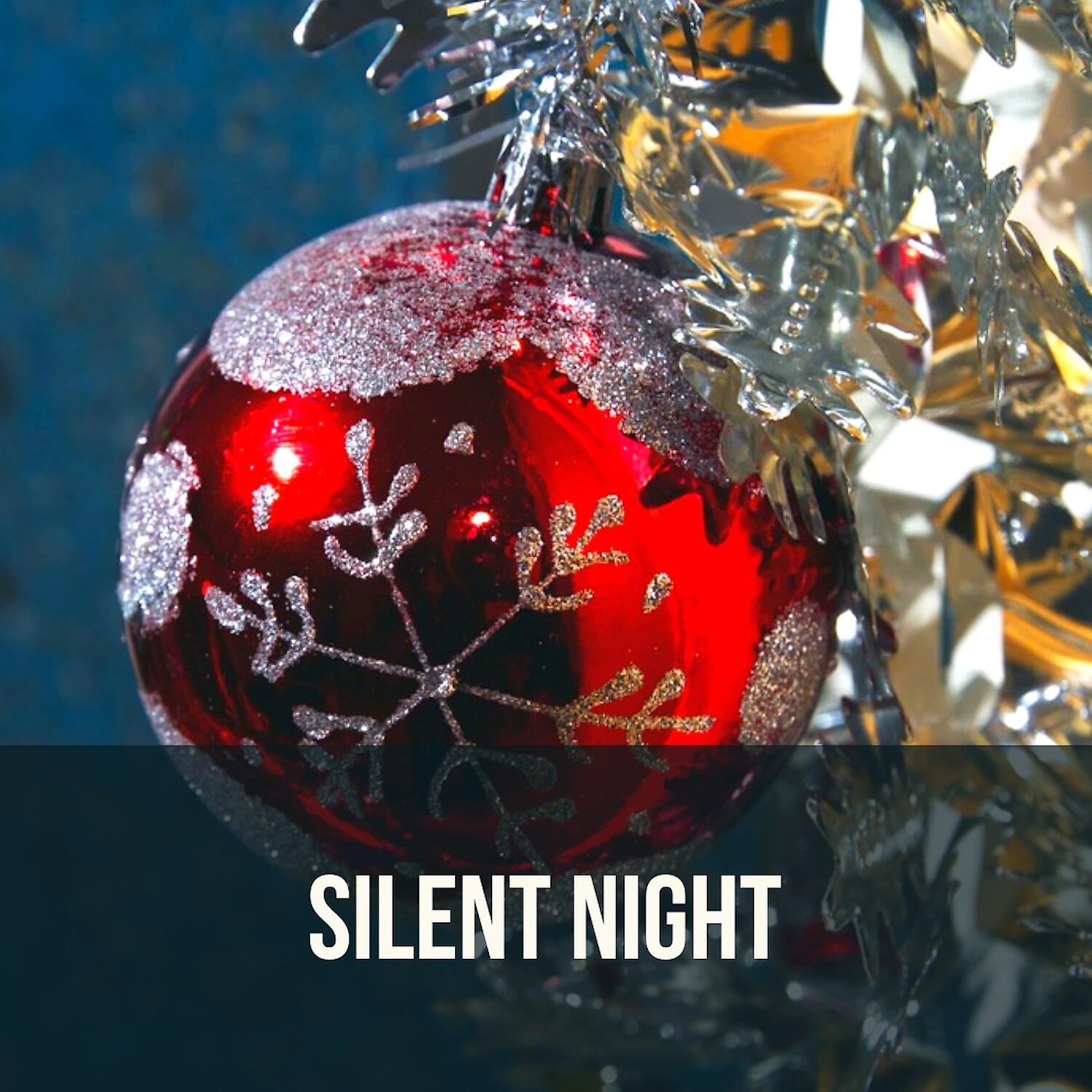 Релиз Silent Night